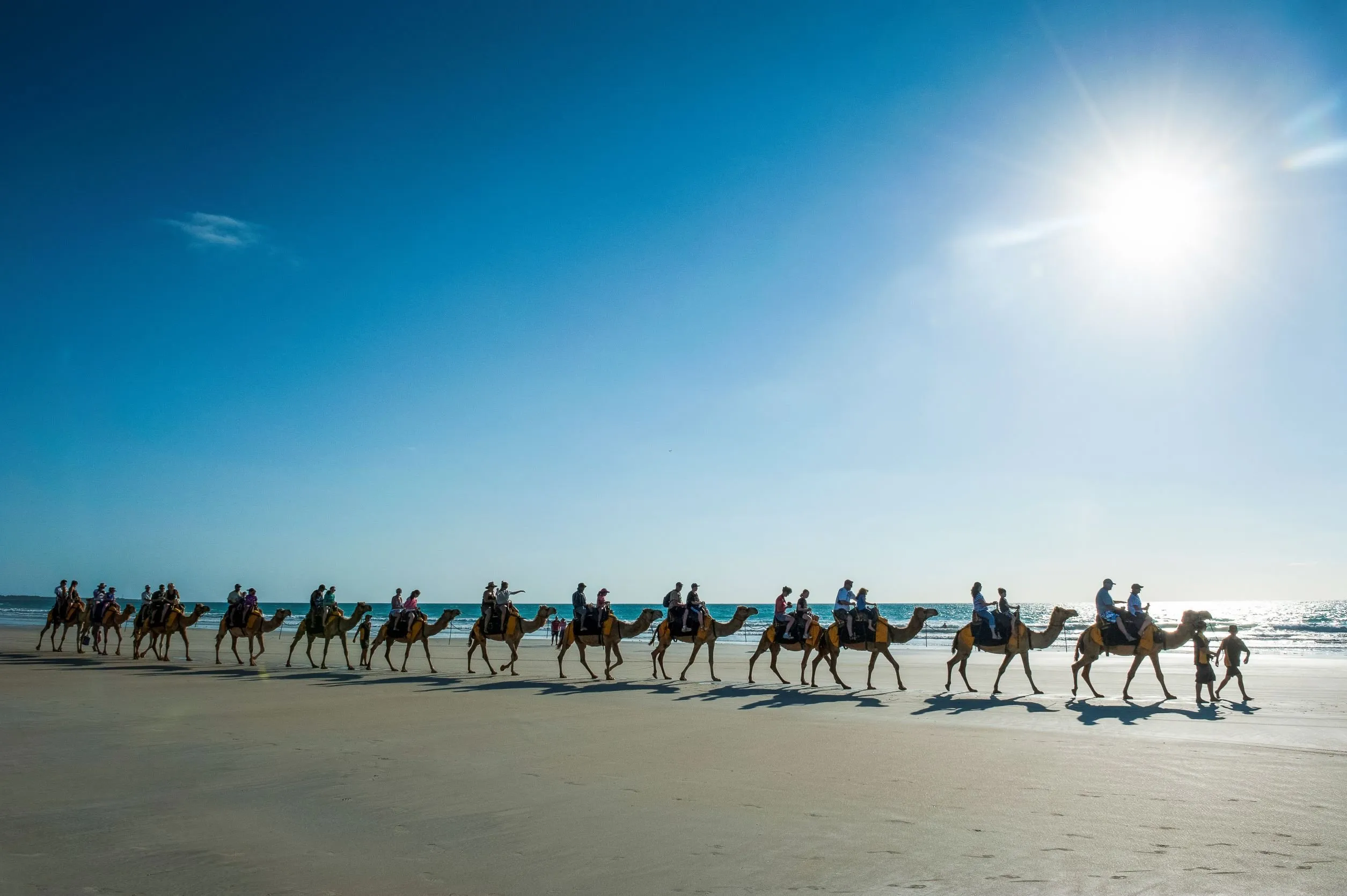 Kamelen kunnen drinken als een tempelier: 200 liter water in 3 minuten