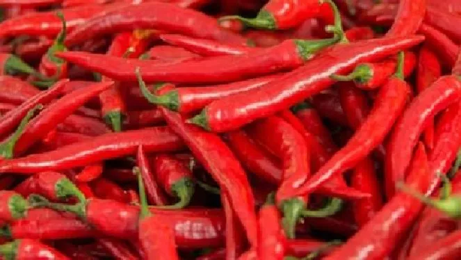 Dit moet je eten voor een beter geheugen