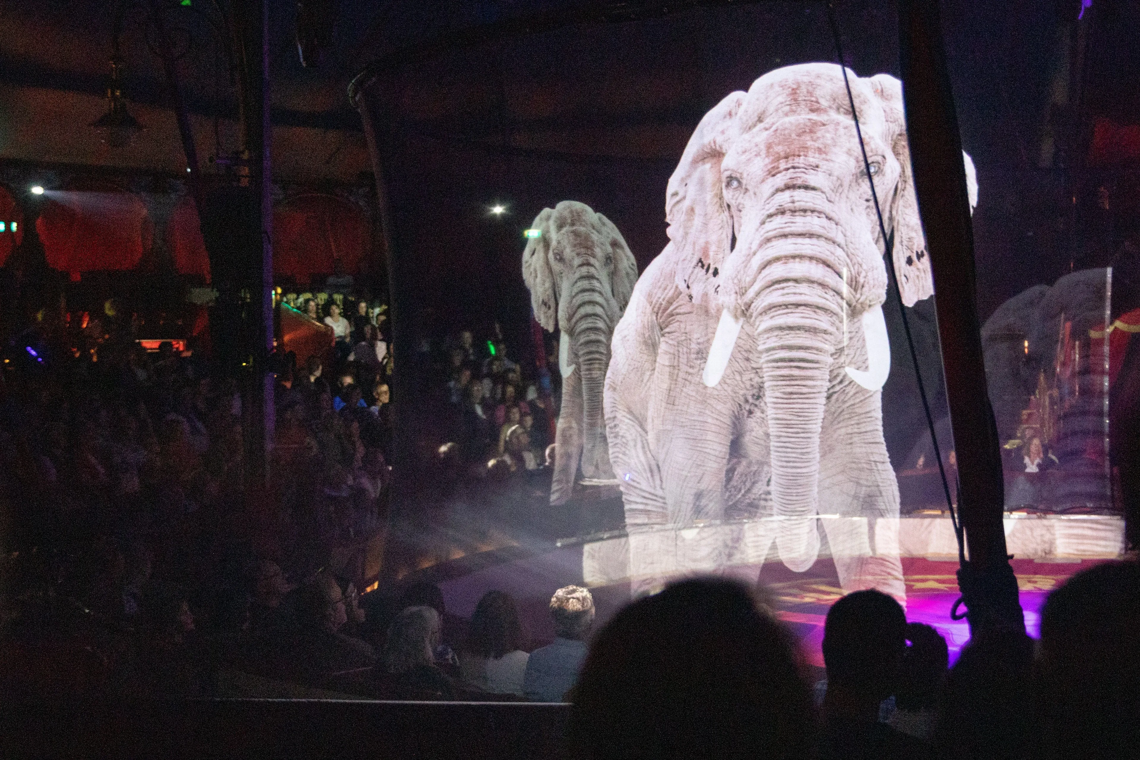 Duits circus gebruikt hologrammen in plaats van echte dieren