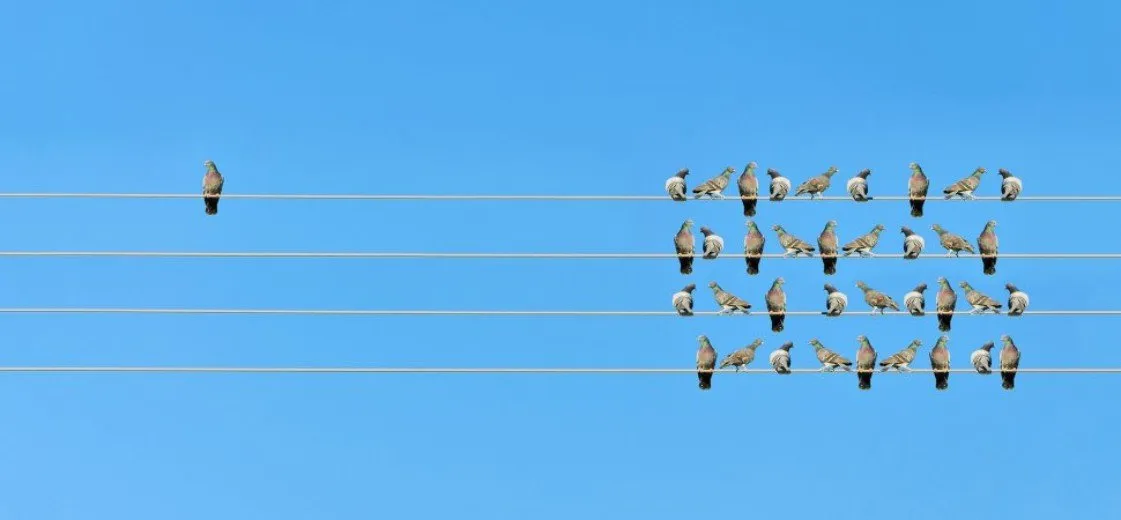 Heel slimme mensen worden juist ongelukkig van vrienden