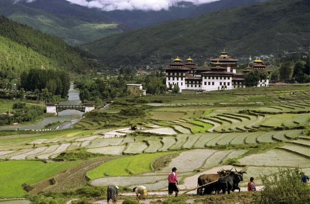 Dit is het enige land ter wereld met een negatieve ecologische voetafdruk