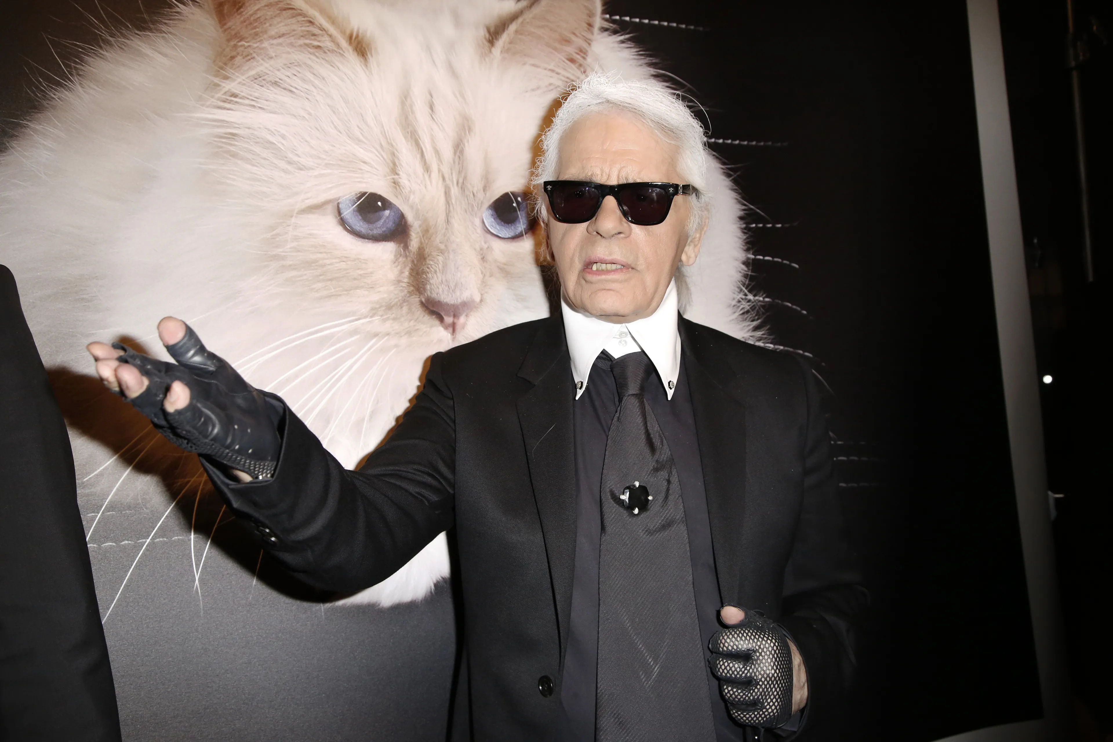 Felle strijd om de kat van Karl Lagerfeld