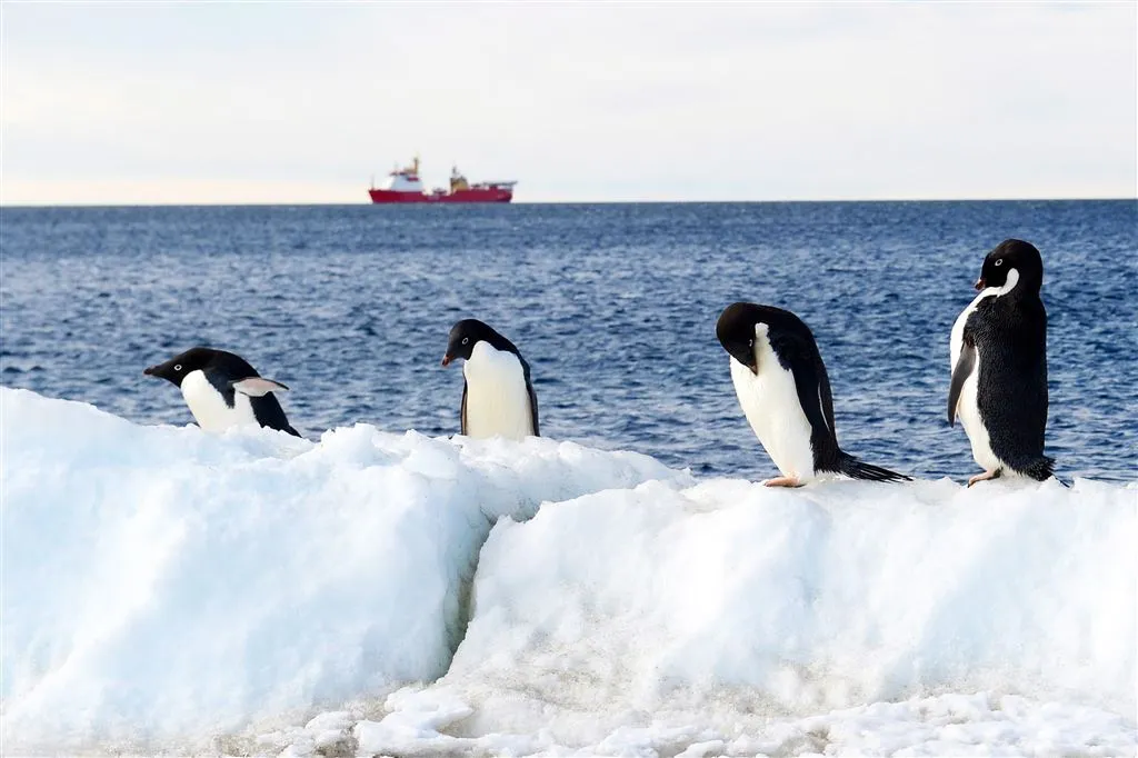 ijsplaten oost antarctica smelten snel1481558891