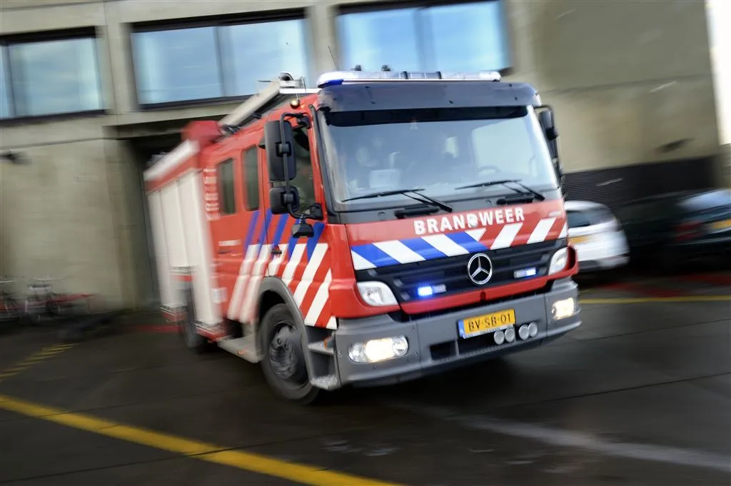 moeder redt kinderen en dieren van brand1458101851