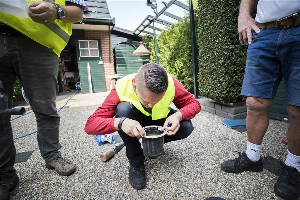 ook in assen aziatische tijgermug ontdekt1503829015