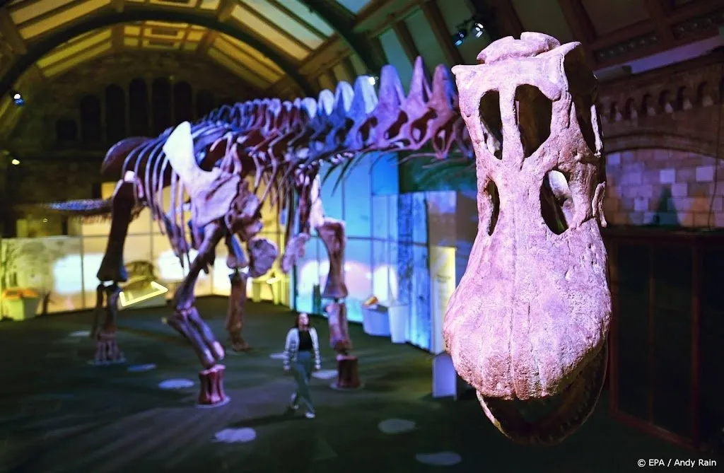 Paleontologen ontdekken een van grootste dinosaurussoorten ooit