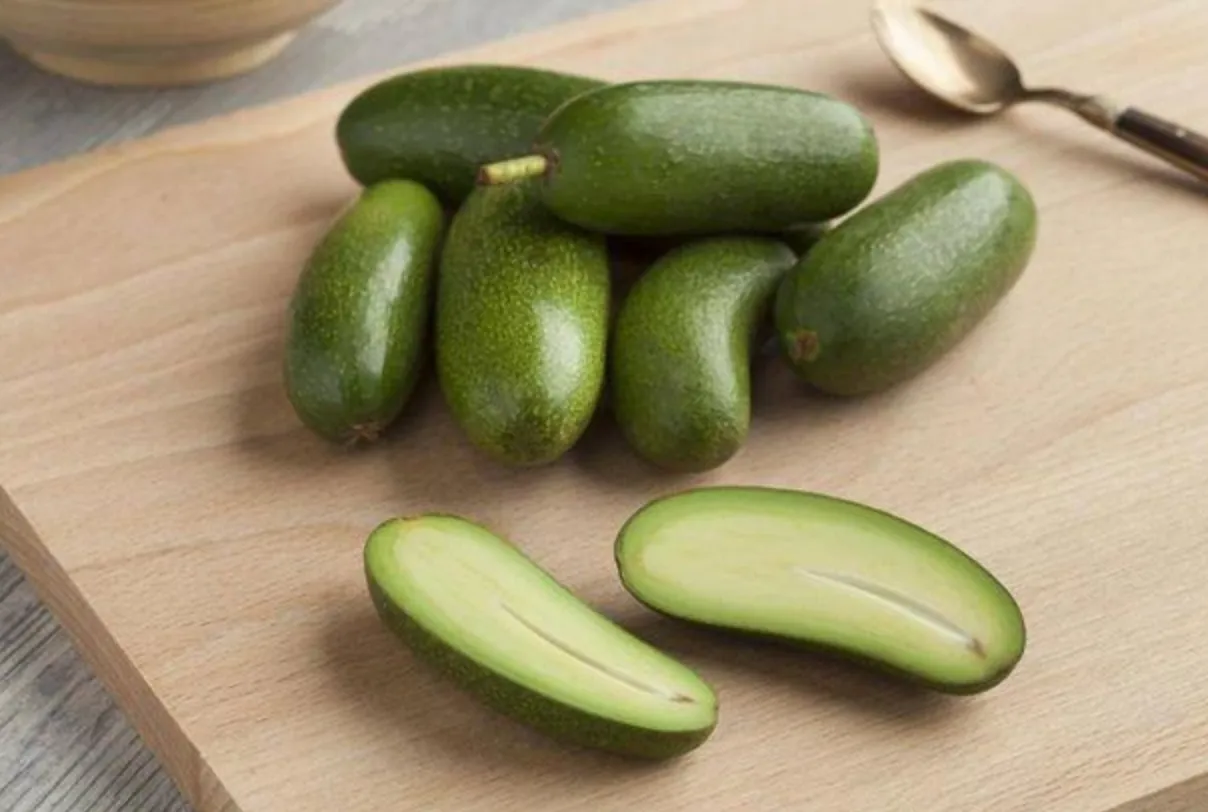 Nieuw: pitloze avocado met eetbare schil