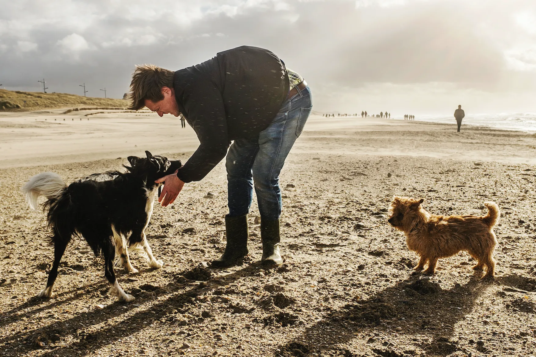 Waarom een hond een man aantrekkelijker maakt