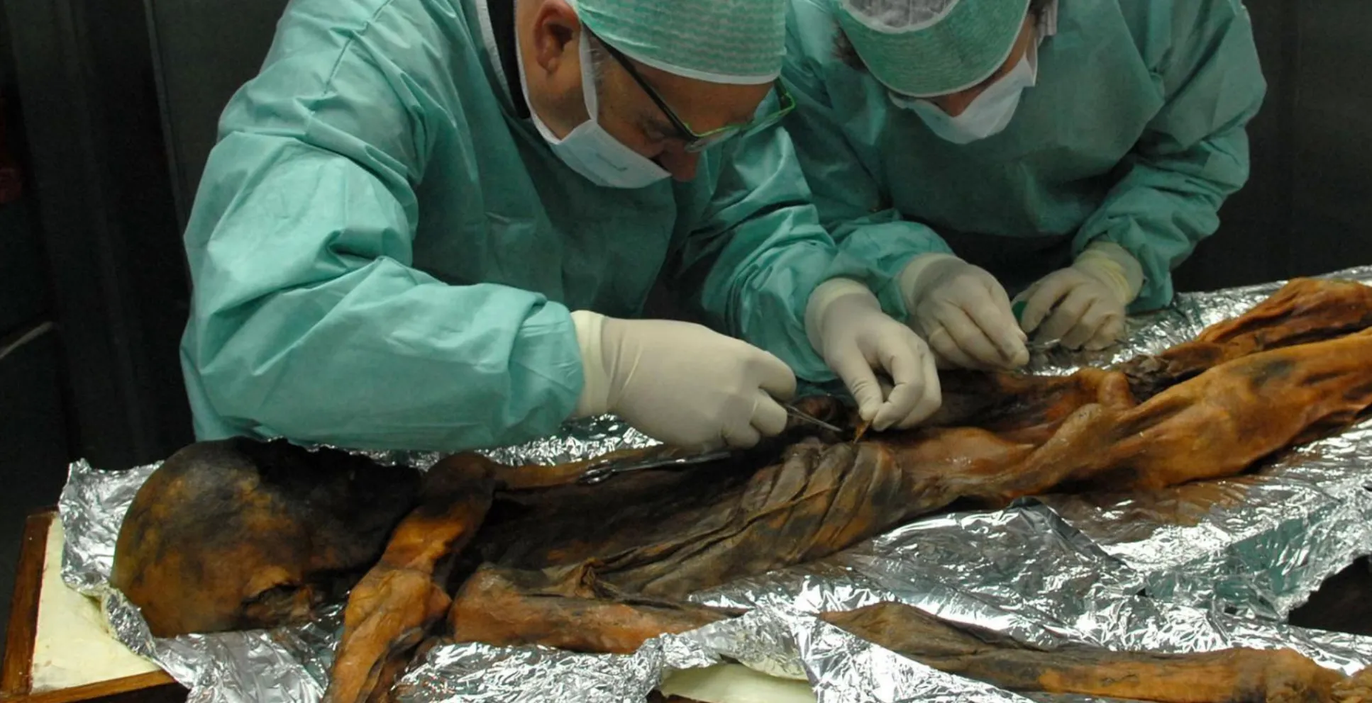 IJsman Ötzi at vlak voor hij stierf vet vlees, graan en varens
