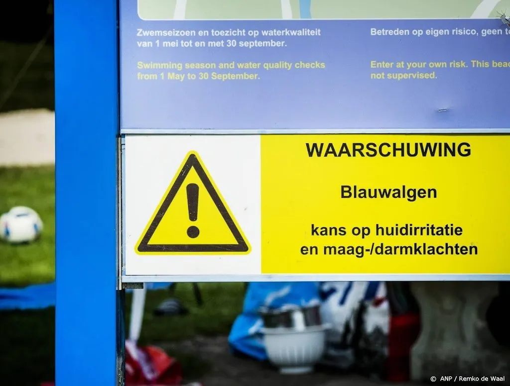 Veel blauwalg en ook botulisme in open zwemwater