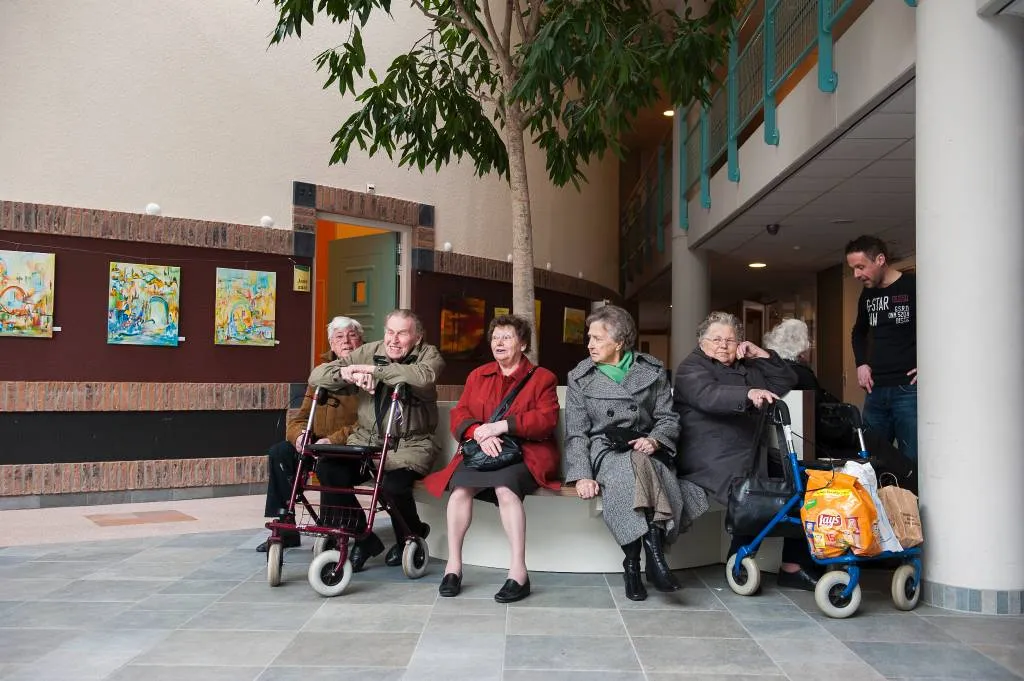 Visite en vriendschapsles voor eenzame oudere
