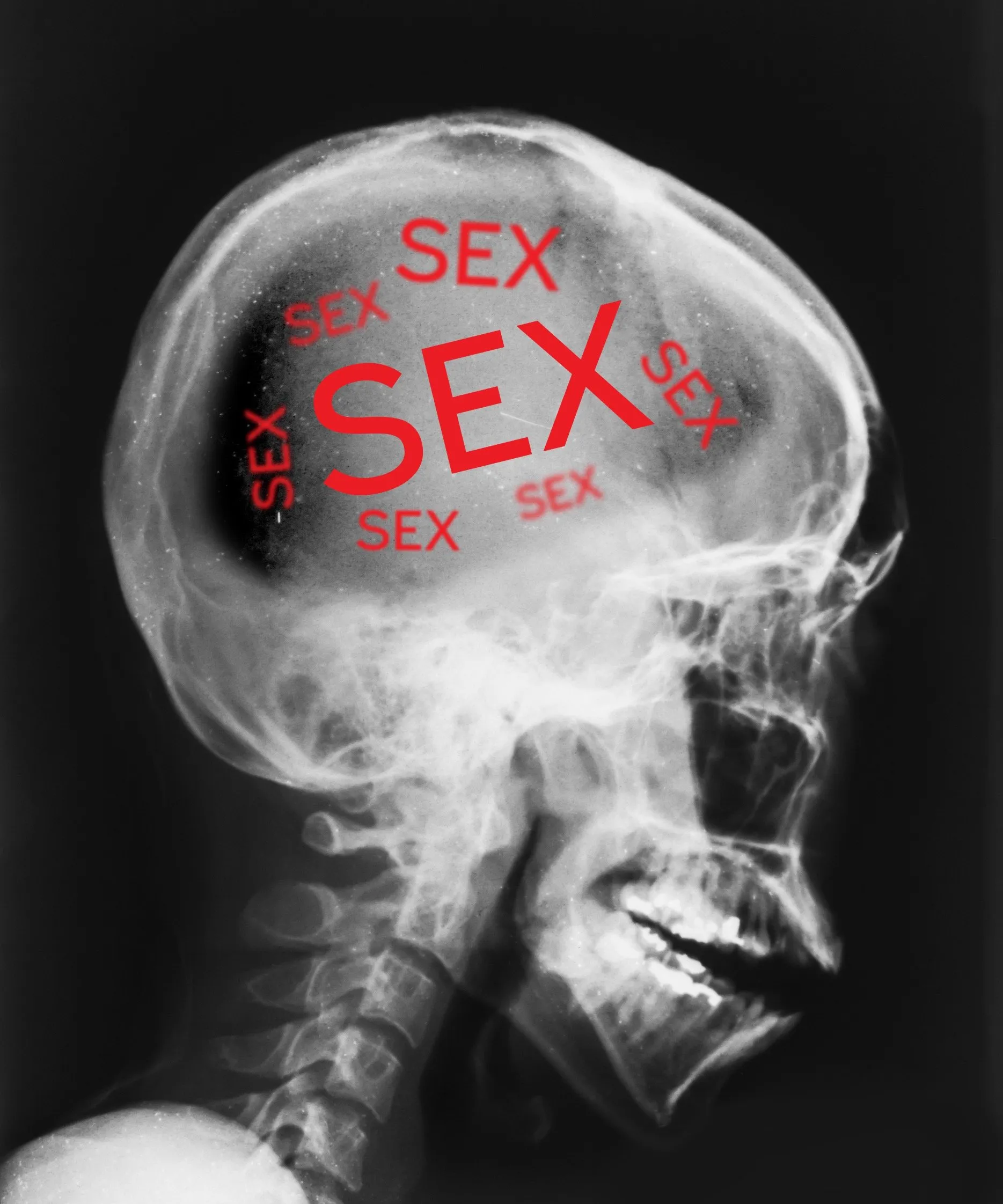 Kan seks voorkomen dat onze hersenen ouder worden?