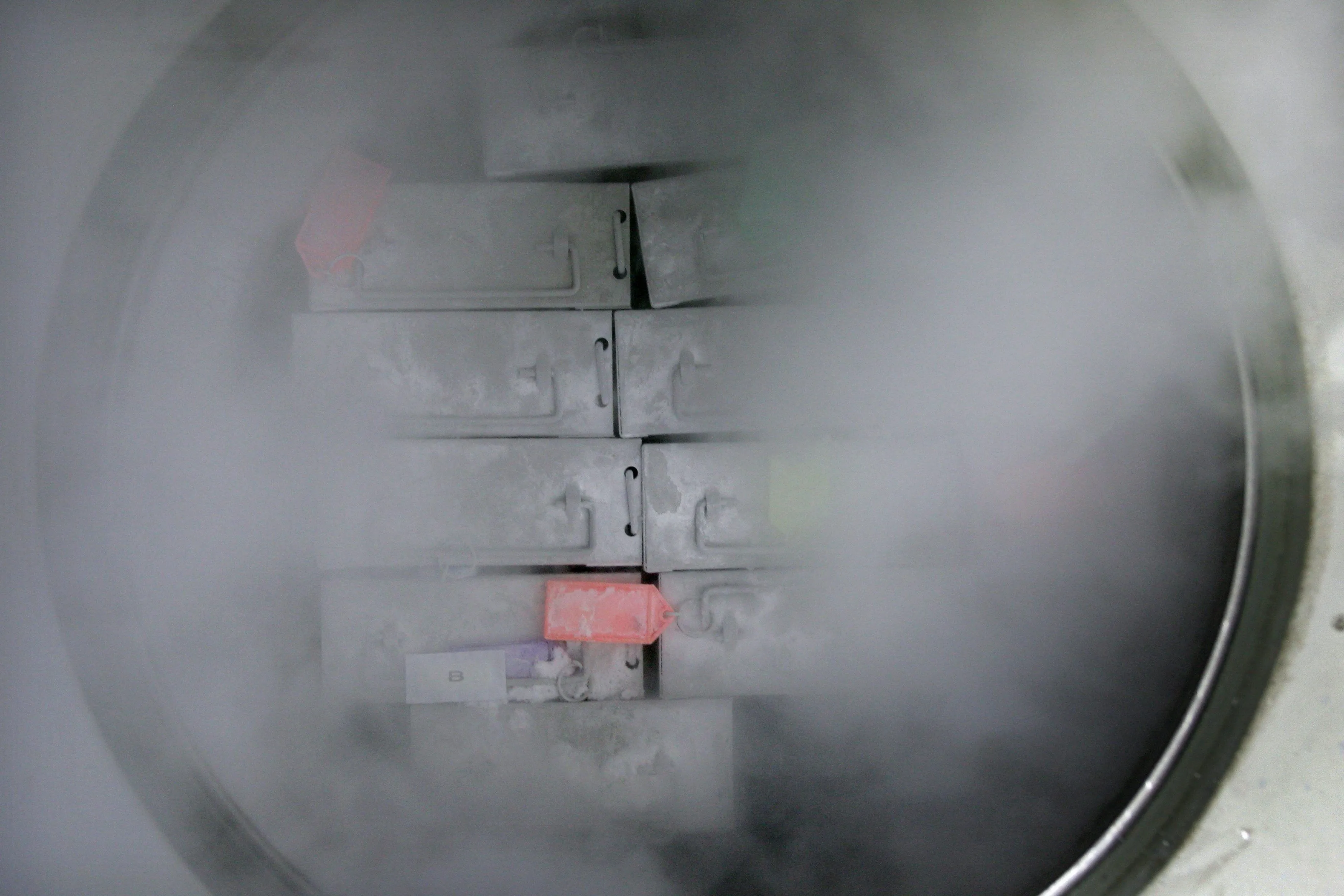 Decennia aan onderzoek vernietigd als vriezer uitvalt op bekende Zweedse universiteit: miljoenen euro's schade