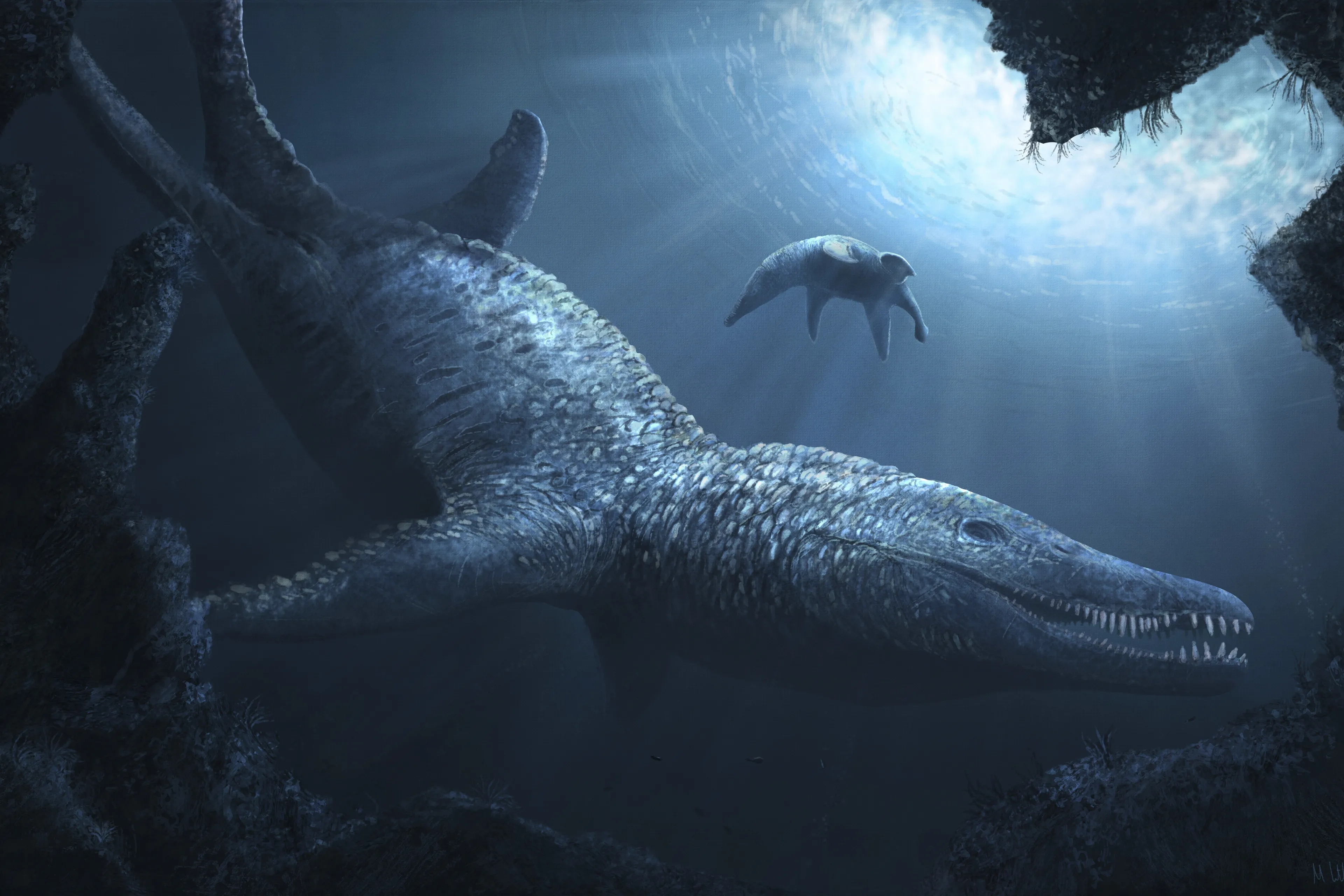 'Tyrannosaurus Rex van de zee': Kop van prehistorisch zeemonster gevonden aan Engelse kust