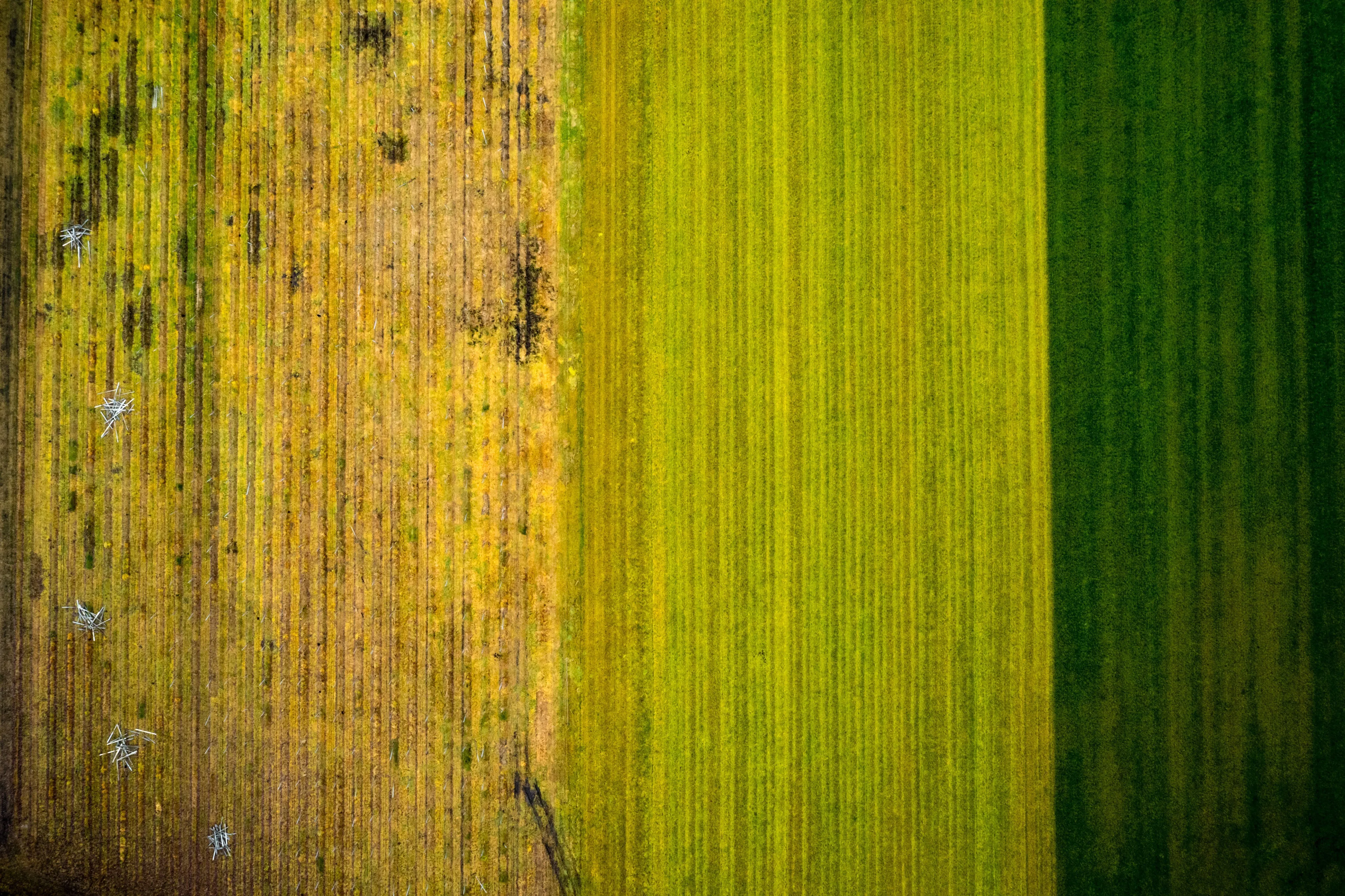 Miljarden euro's schadevergoeding voor man die kanker kreeg door bestrijdingsmiddel glyfosaat
