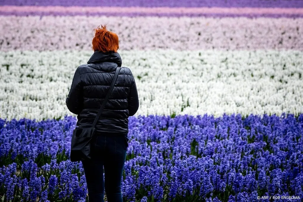 Minder bloementelers actief in Nederland