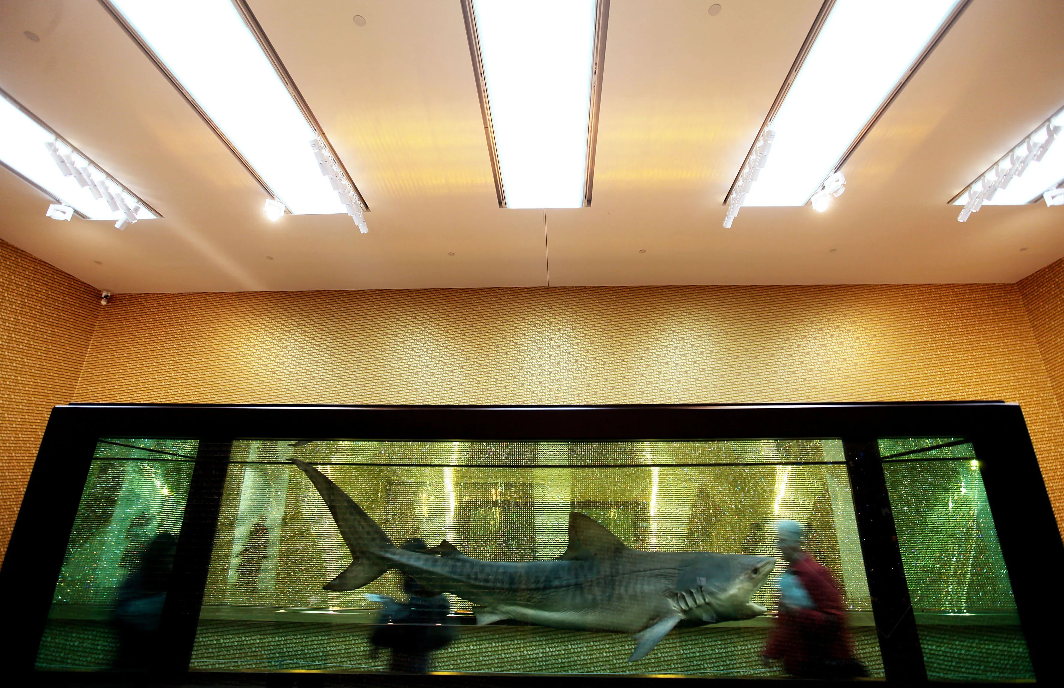 Kunstenaar Damien Hirst beschuldigd van bedrog: zijn kunstwerken zouden veel later zijn gemaakt