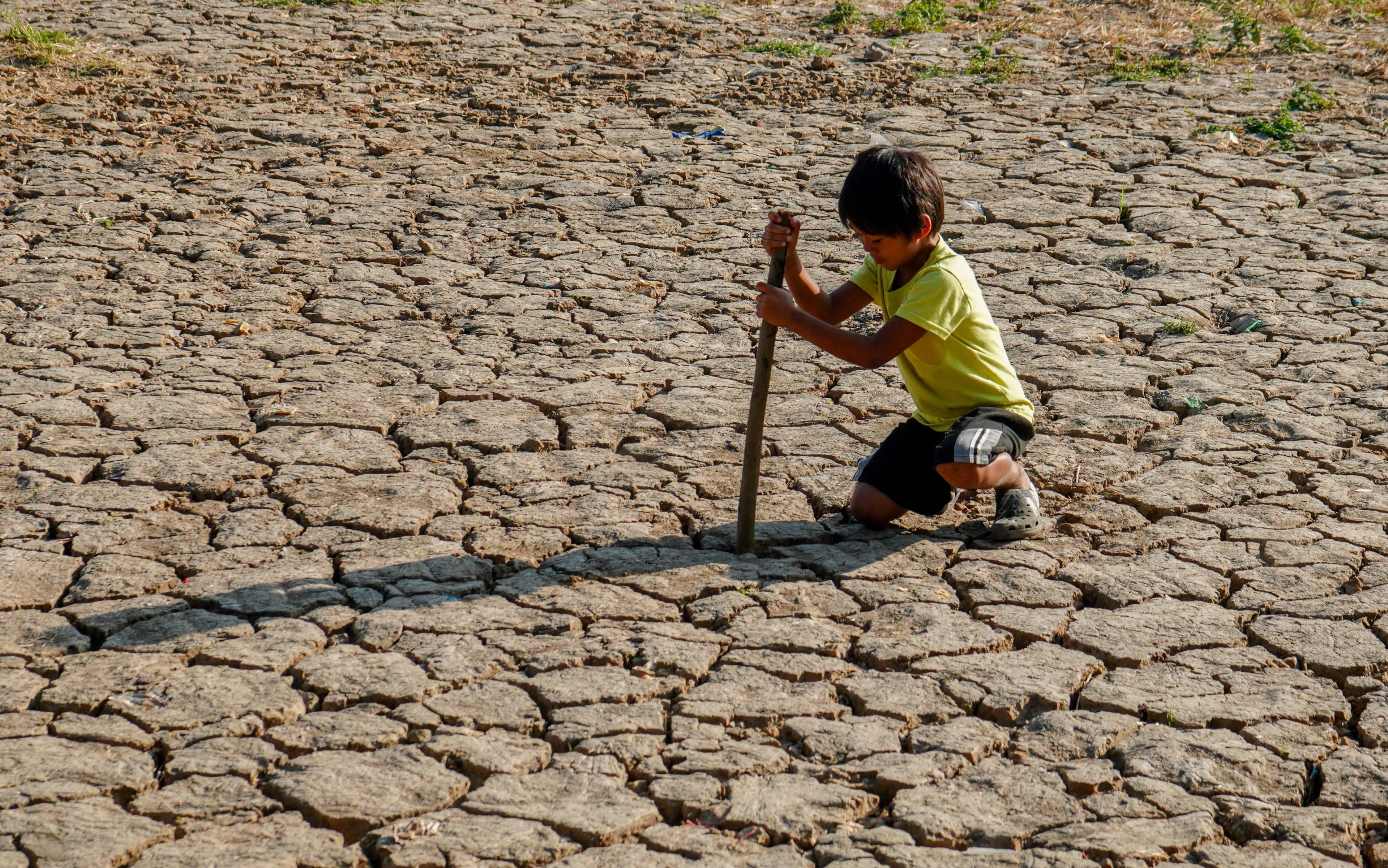 Belangrijke klimaatwetenschapper nuanceert: "Mensheid gaat echt niet ten onder"