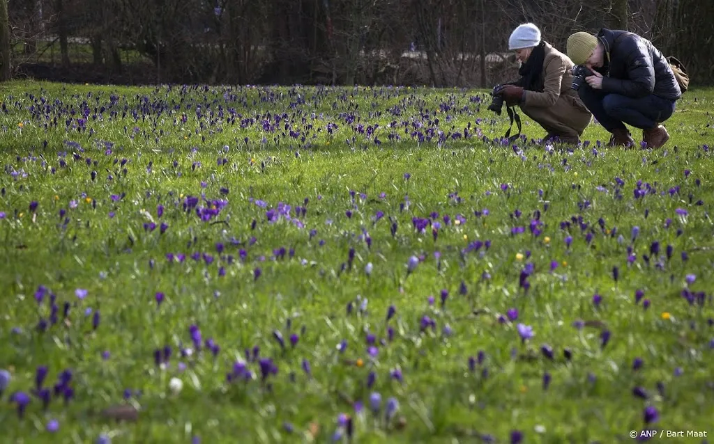 Klimaatdienst: februari is negende maand op rij met warmterecord