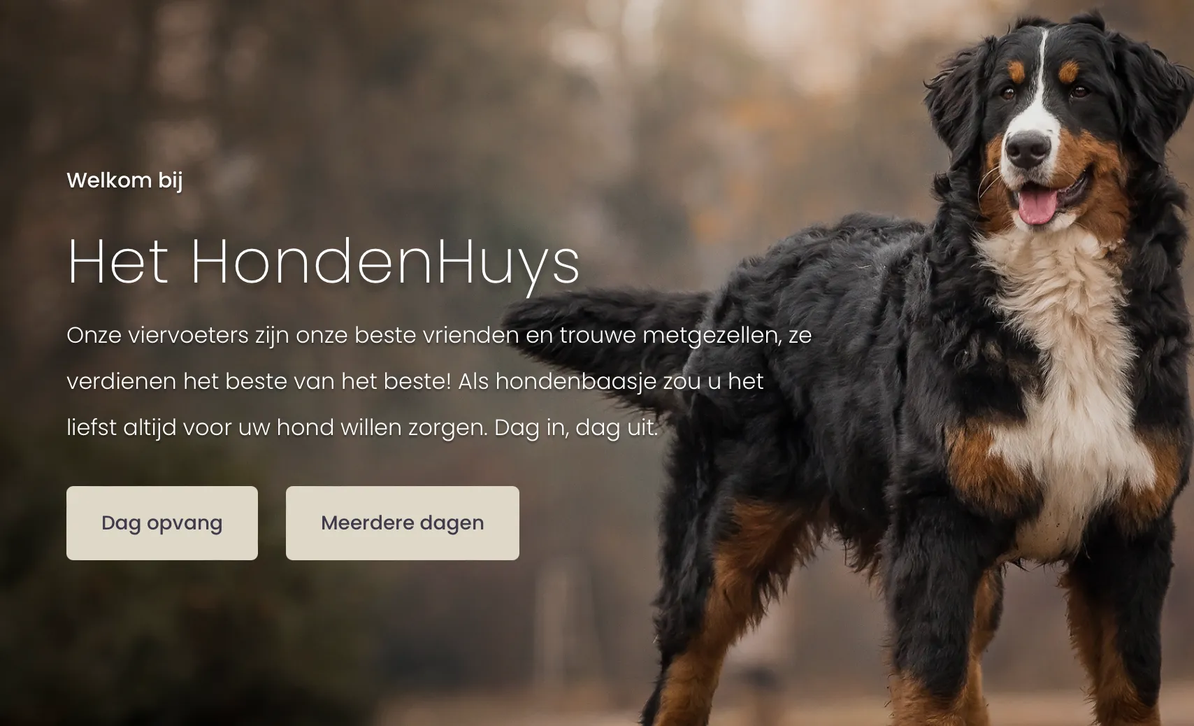 Tien honden in luxe hondenhotel vermoedelijk gestikt