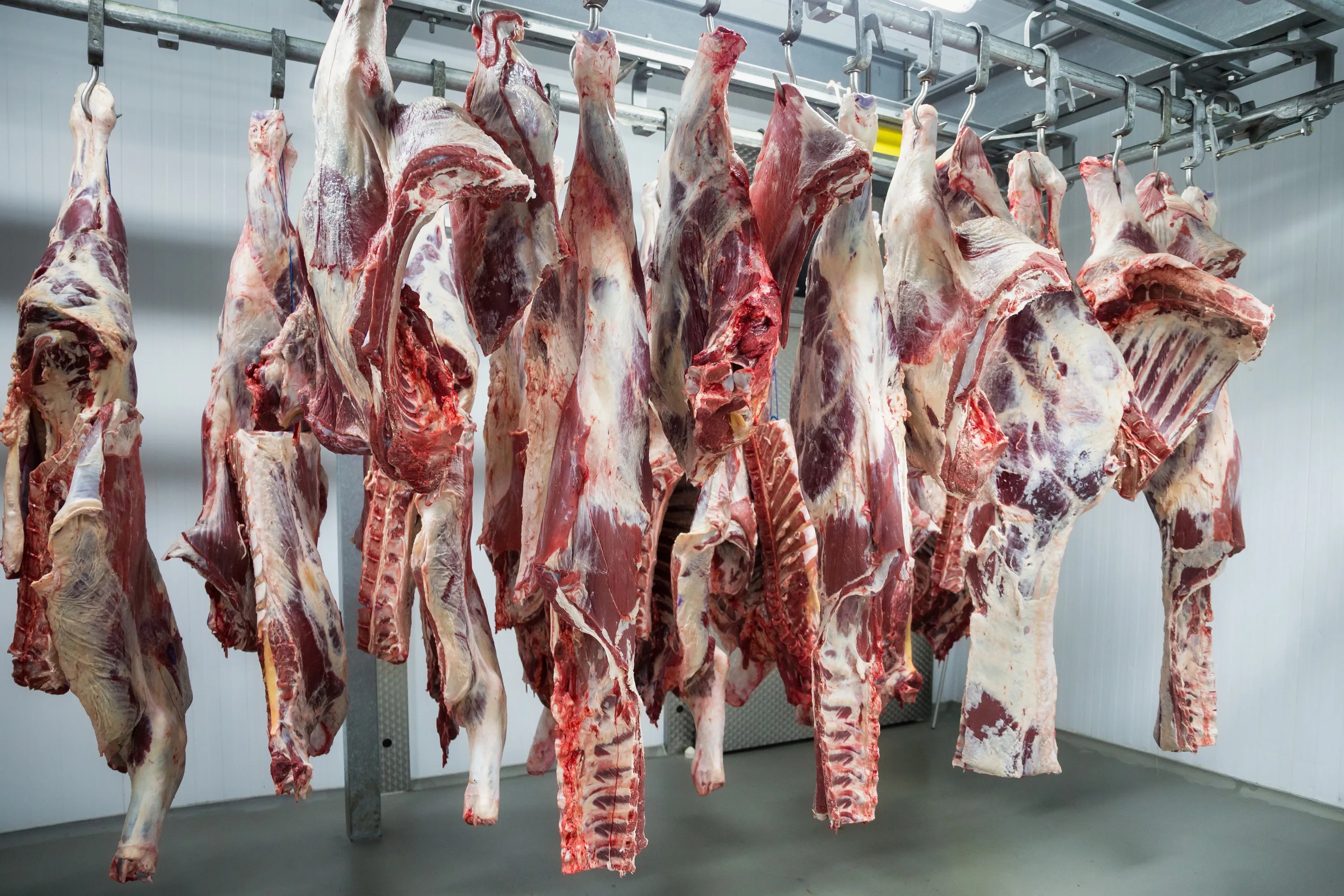Moeten we voor onze gezondheid allemaal vegetariërs  worden?