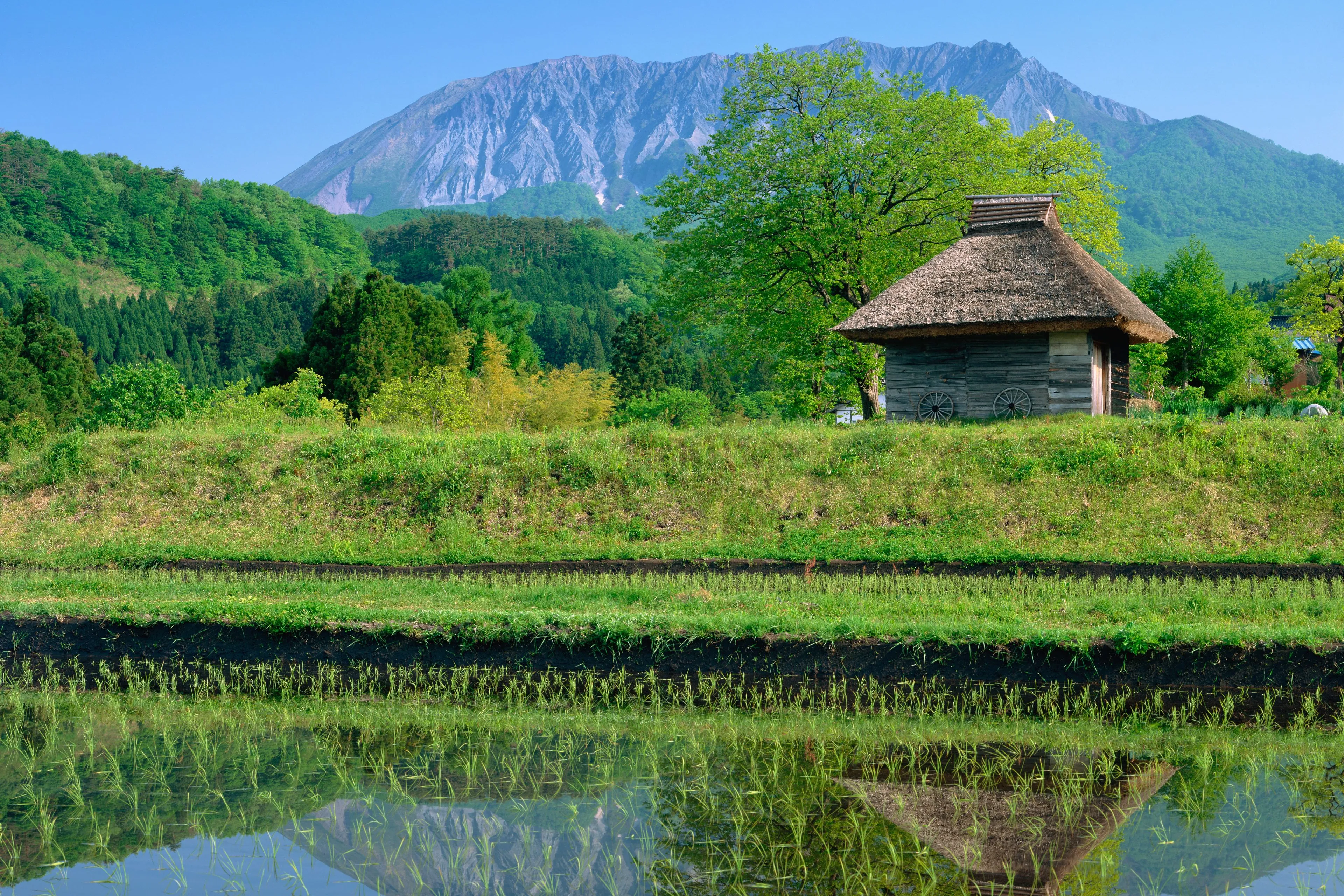 14 procent van alle huizen in Japan staat leeg: buitenlanders komen erop af als vliegen op de stroop