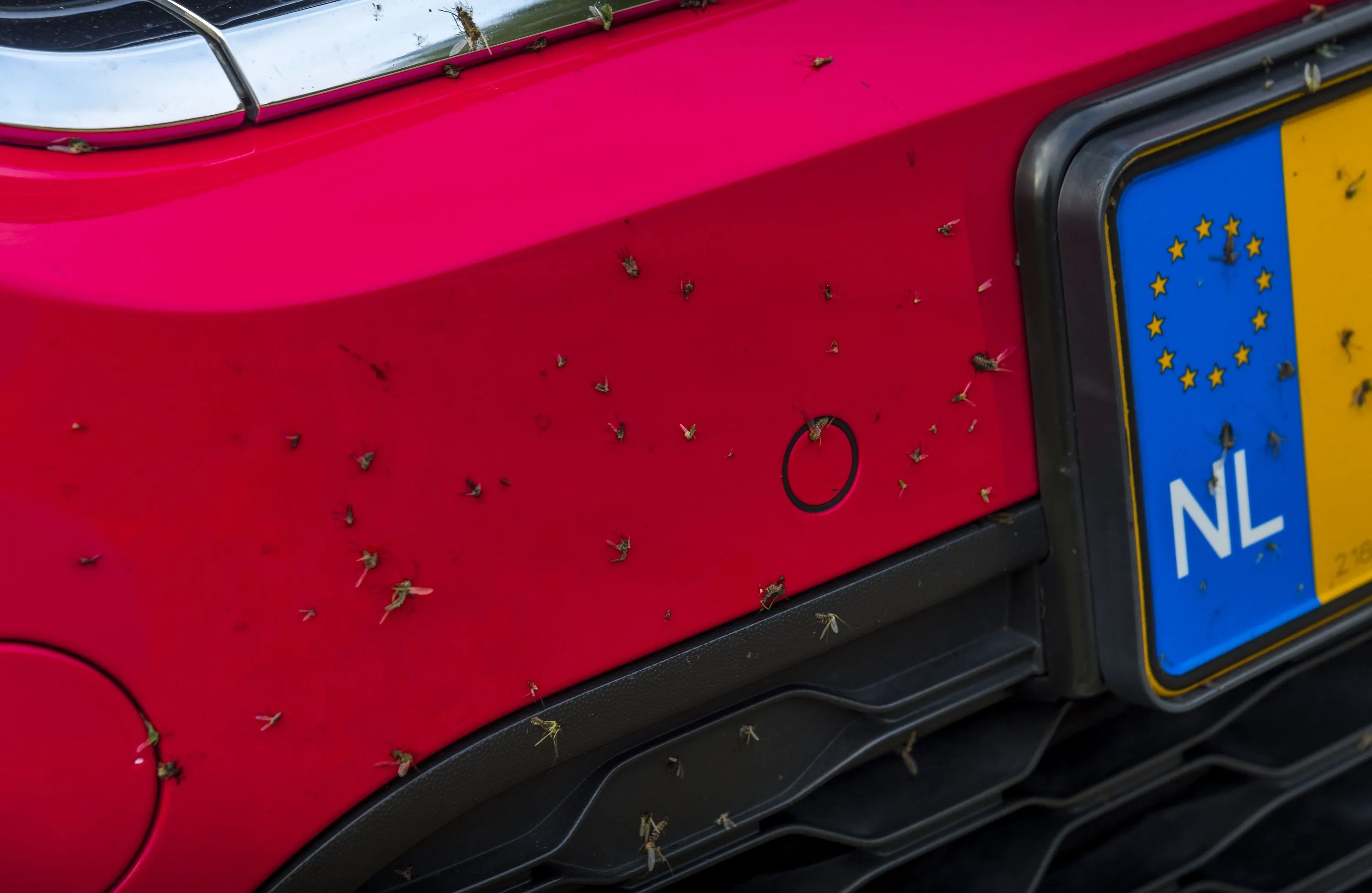 Hierdoor zitten er nu veel minder dode insecten op je voorruit en bumper