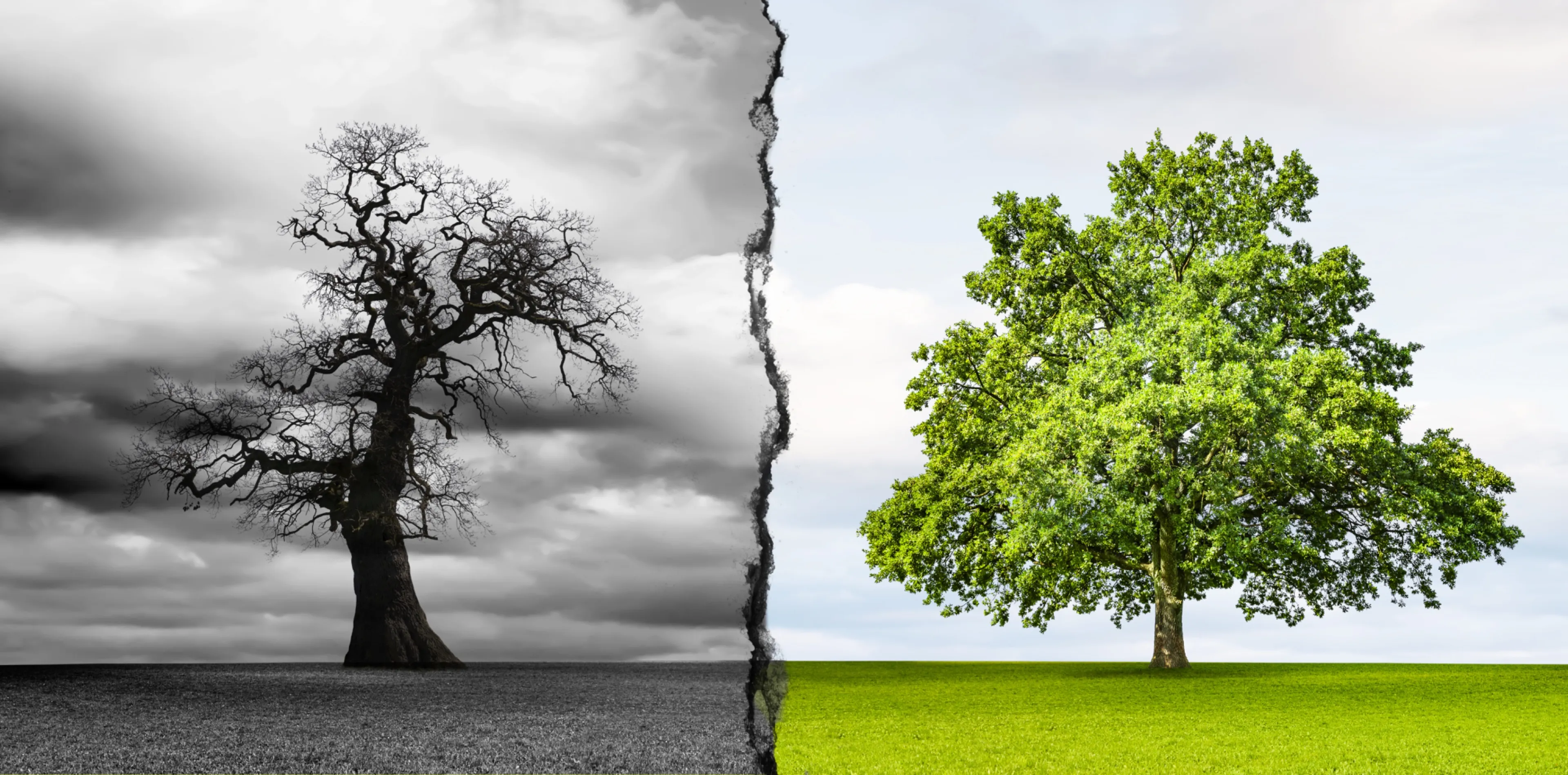 Je gezondheid loopt nu al gevaar door de klimaatcrisis
