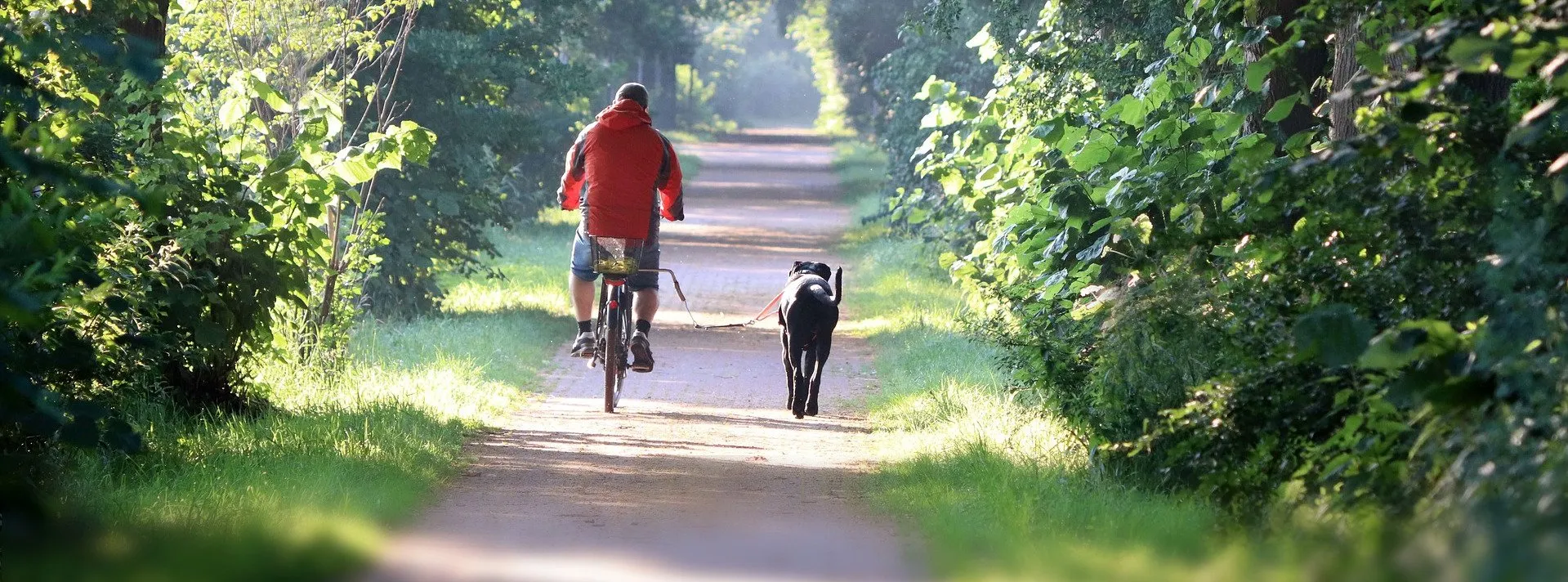 'Hond uitlaten naast scooter of fiets is dierenmishandeling'