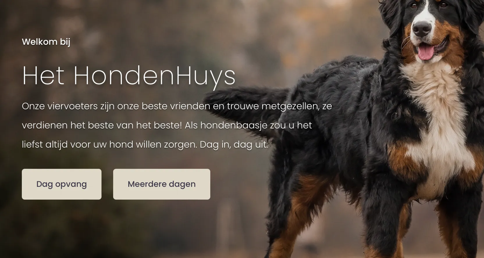 Eigenaar dierenhotel met dode honden doet aangifte doodsbedreiging