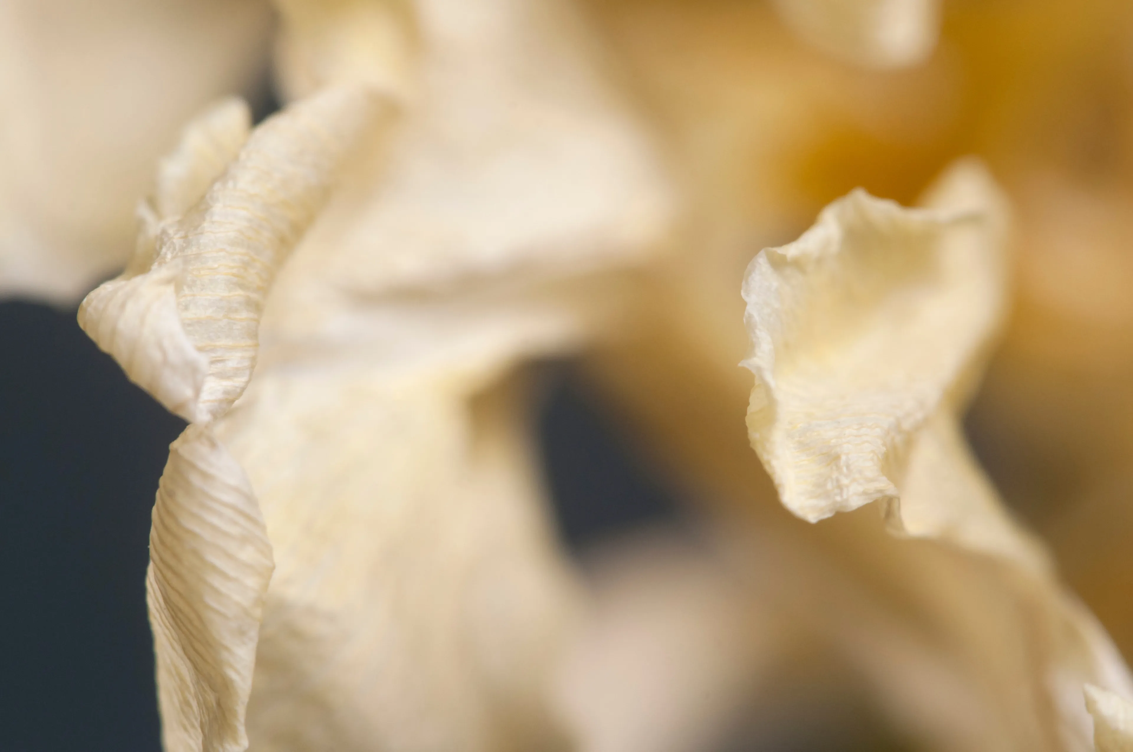 Zware botten, gezonde spelt en andere dieetfabeltjes