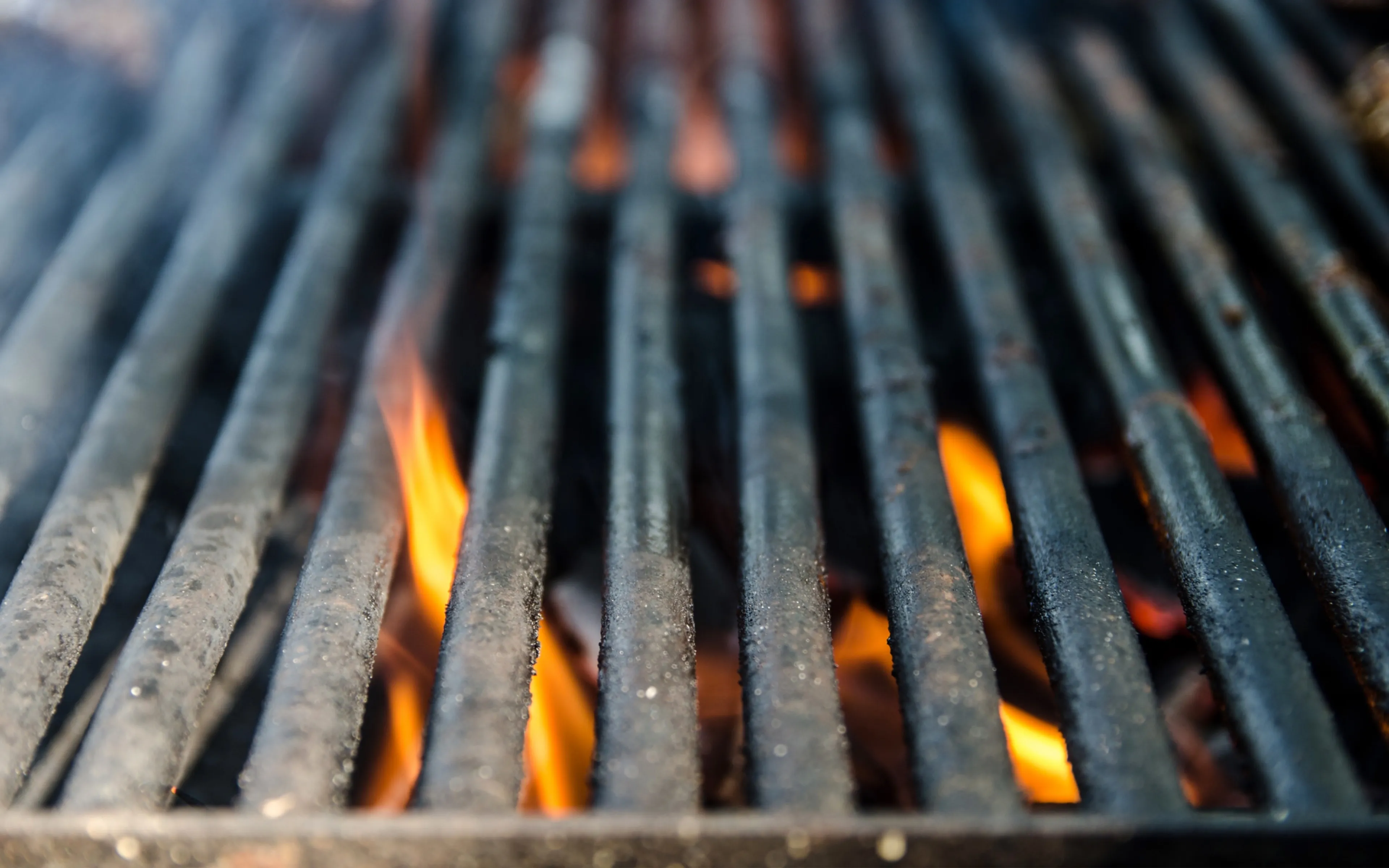 101 recepten voor op de grill