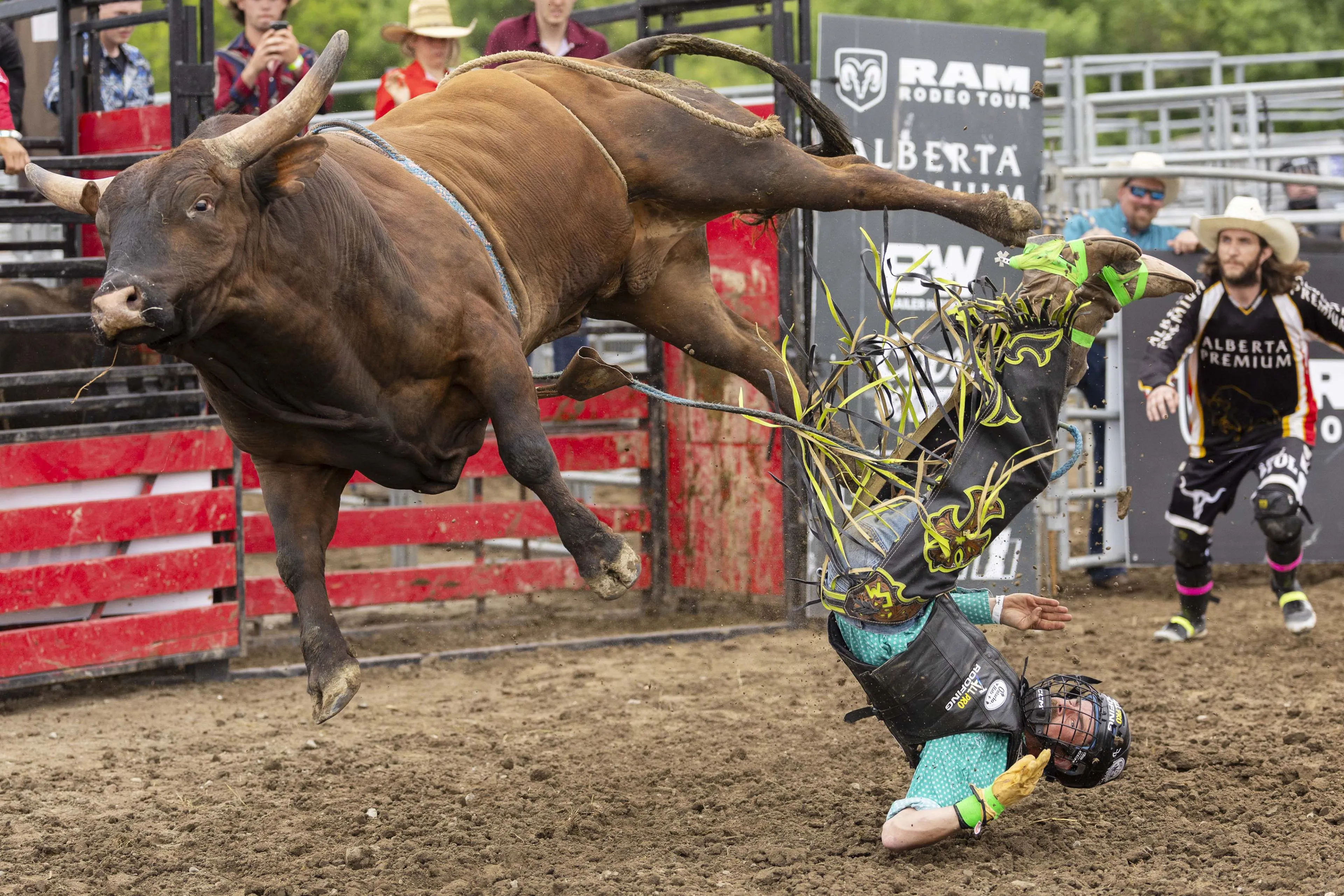 Rodeostier springt in publiek en neemt drie mensen op de hoorns