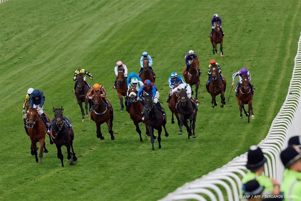 Vlees van afgedankte racepaarden belandt illegaal in bitterballen en kroketten