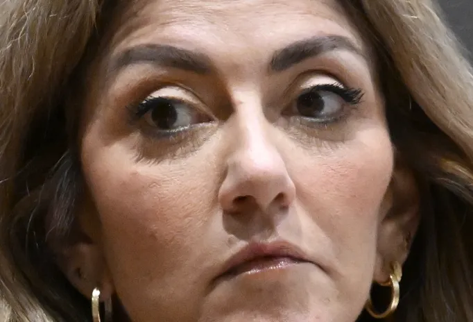 Liegebeest: Yeşilgöz wist dat 'nareis op nareis' onzin was