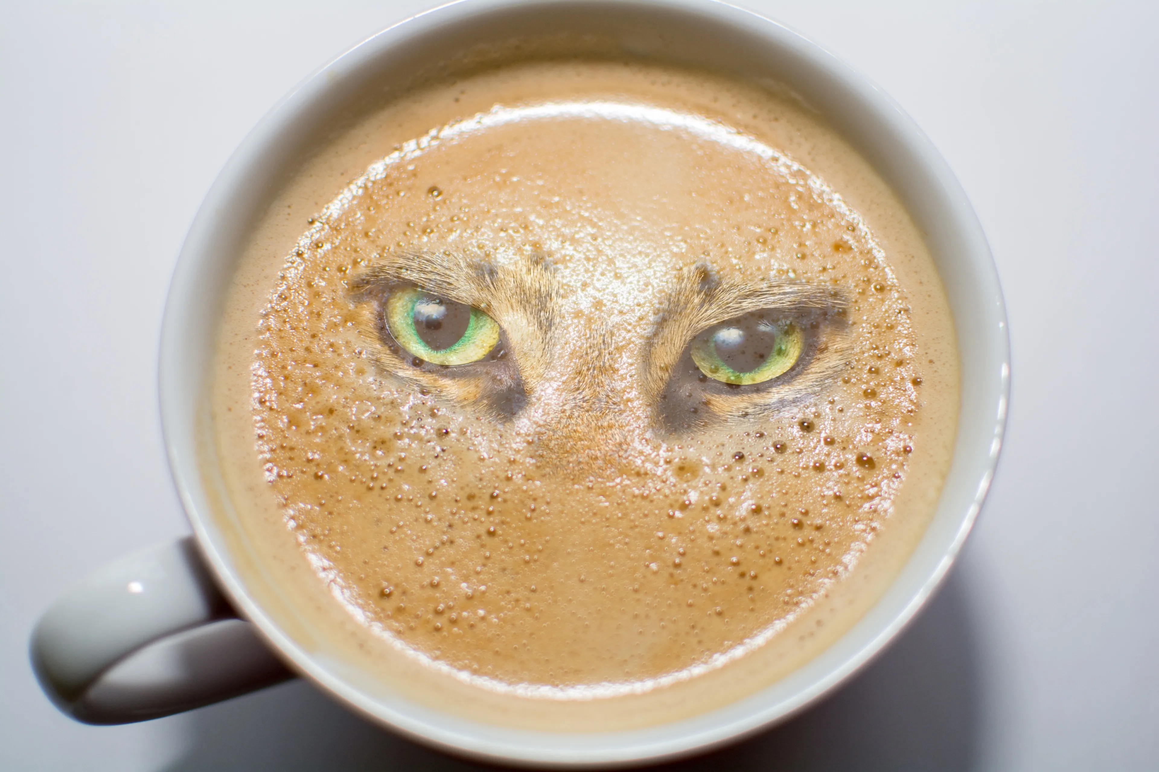 Dit is de nieuwste ietwat vreemde koffietrend