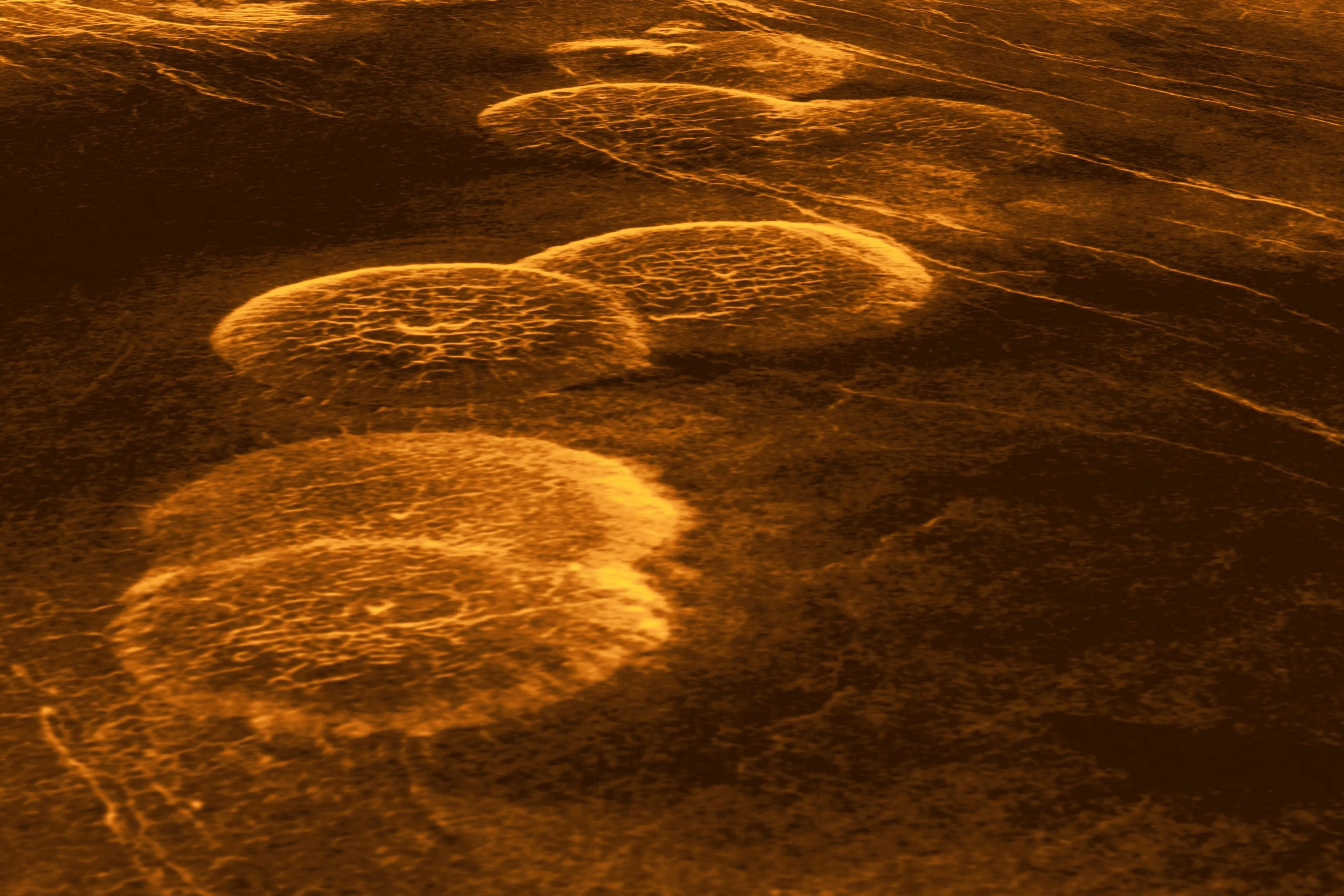 Onderzoekers vinden sterke aanwijzingen voor leven op Venus