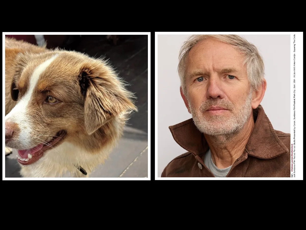 Steenrijke Zuid-Afrikaan zegt dat fotograaf Anton Corbijn zijn bijzondere hond  ontvoerd en gestolen heeft