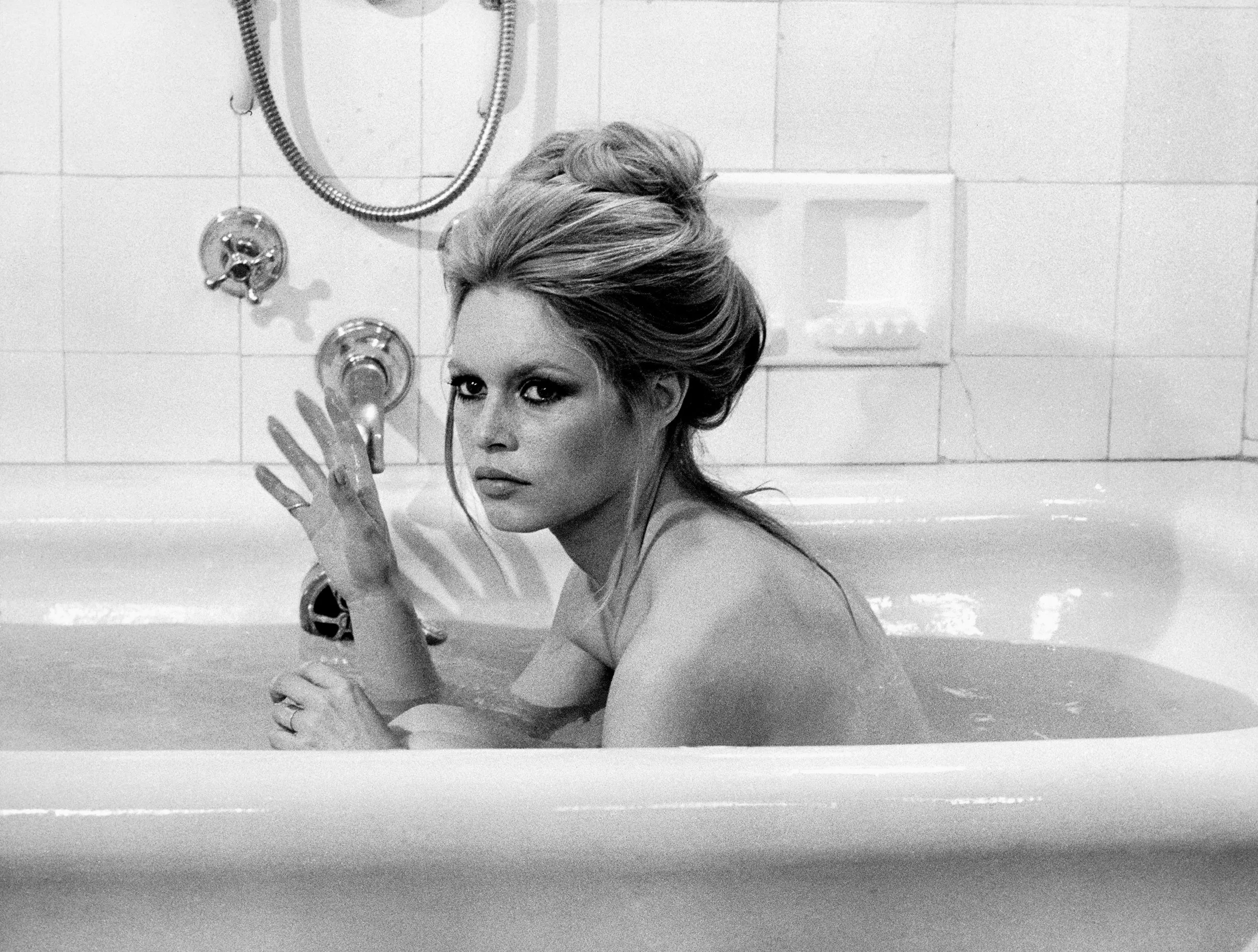 Alain Delon en Brigitte Bardot staan allebei achter het Front National