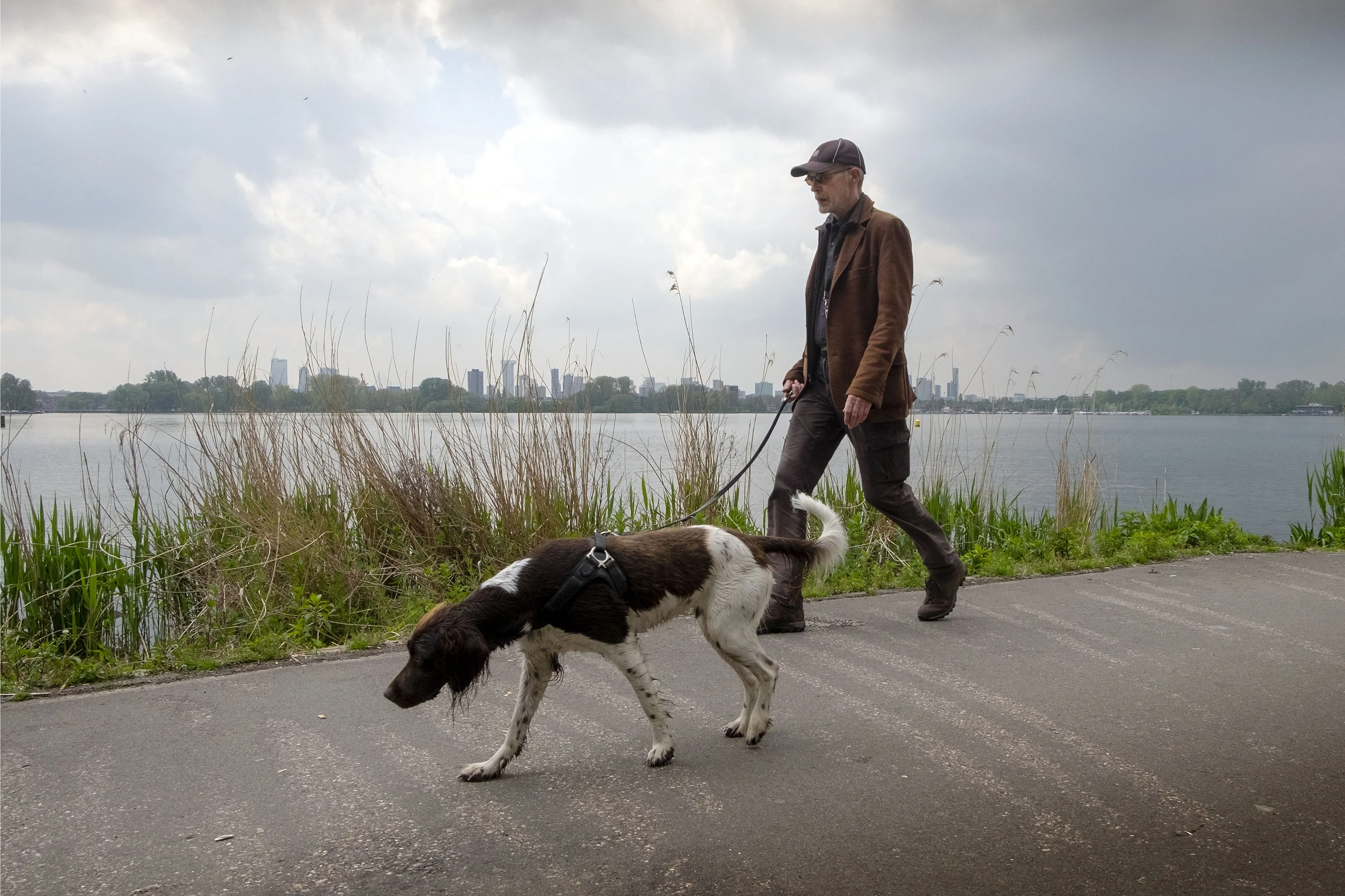 Hoe lang kan een hond zijn plas ophouden? ’Lang wachten met uitlaten is dierenmishandeling’