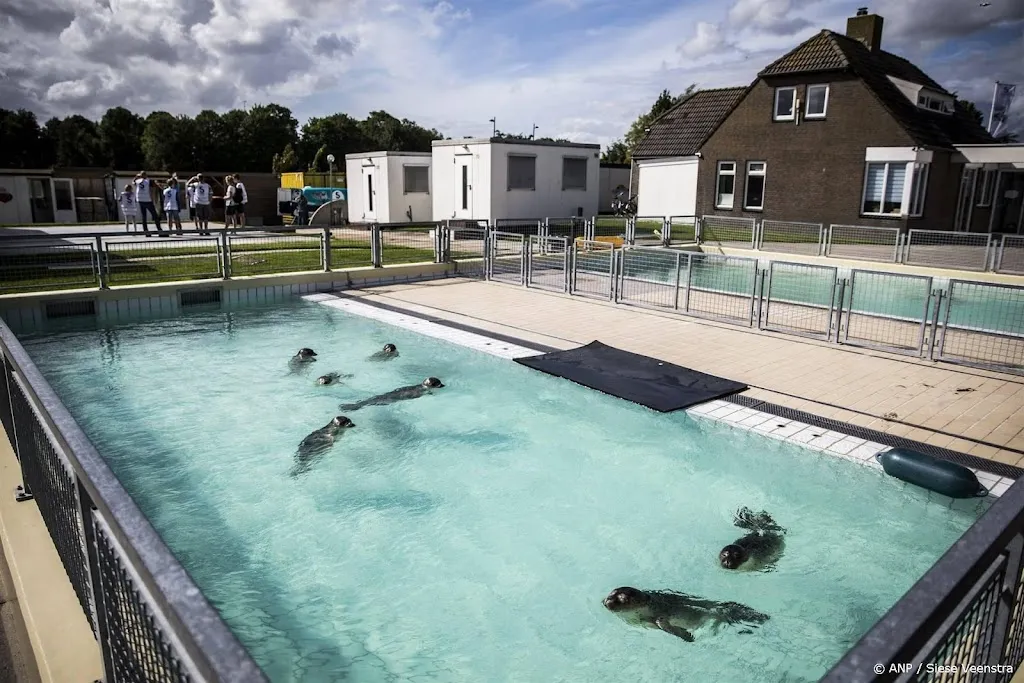 Japanners doneren massaal 'portie vis' aan zeehondencentrum