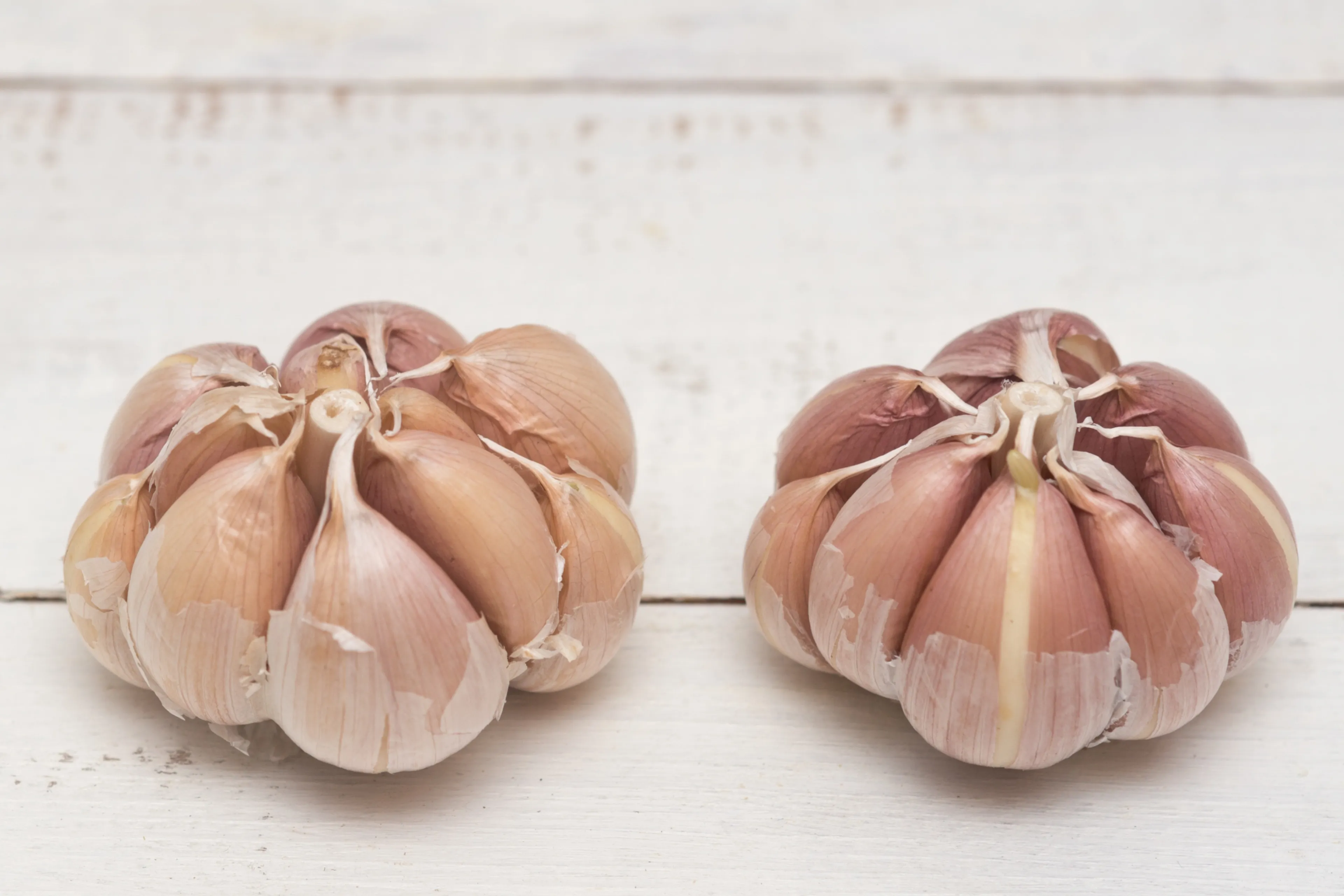 Zo pel je vliegensvlug knoflook (en het stinkt niet)