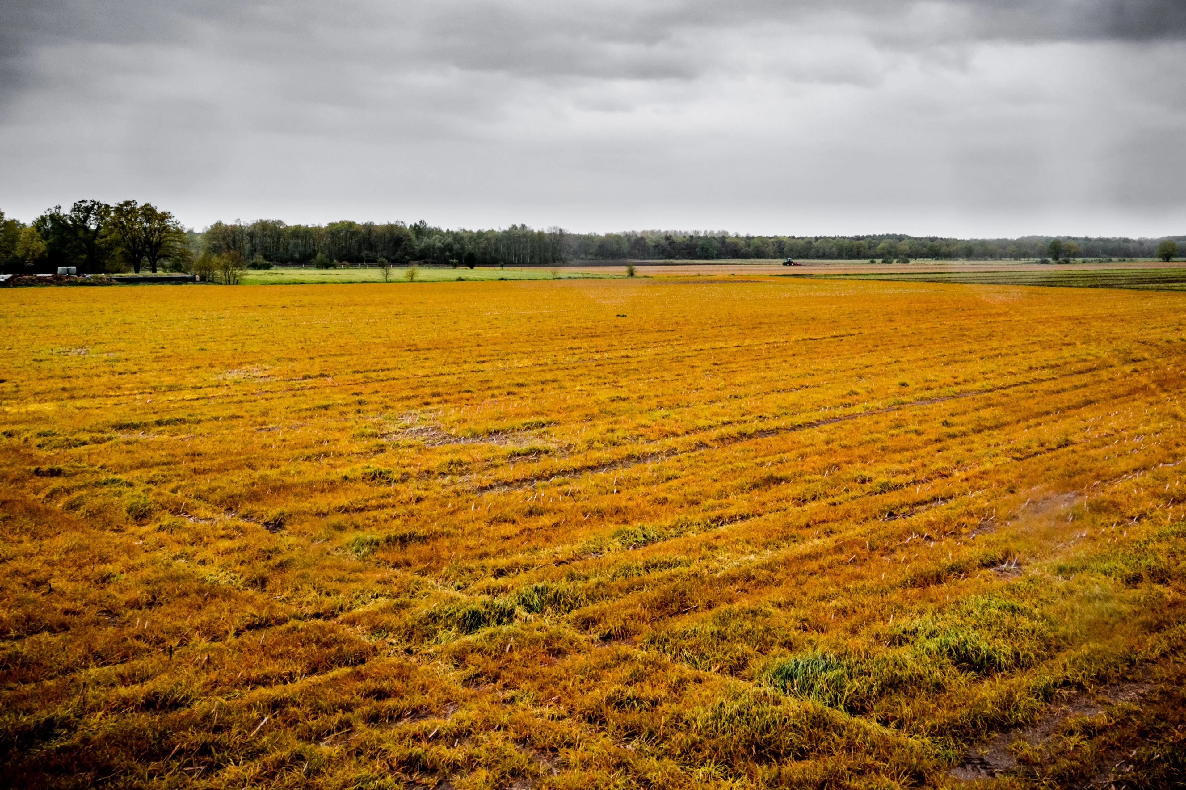 Kans op kanker door pesticiden mogelijk veel groter dan gedacht