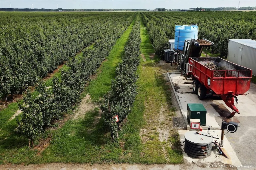 EU-Rekenkamer: natuur ondermijnd door coulant landbouwbeleid