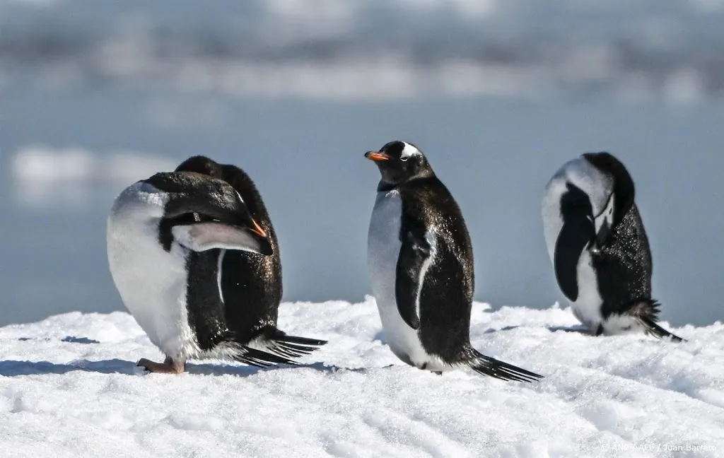 WWF: omvang dierenpopulaties in halve eeuw met driekwart gedaald
