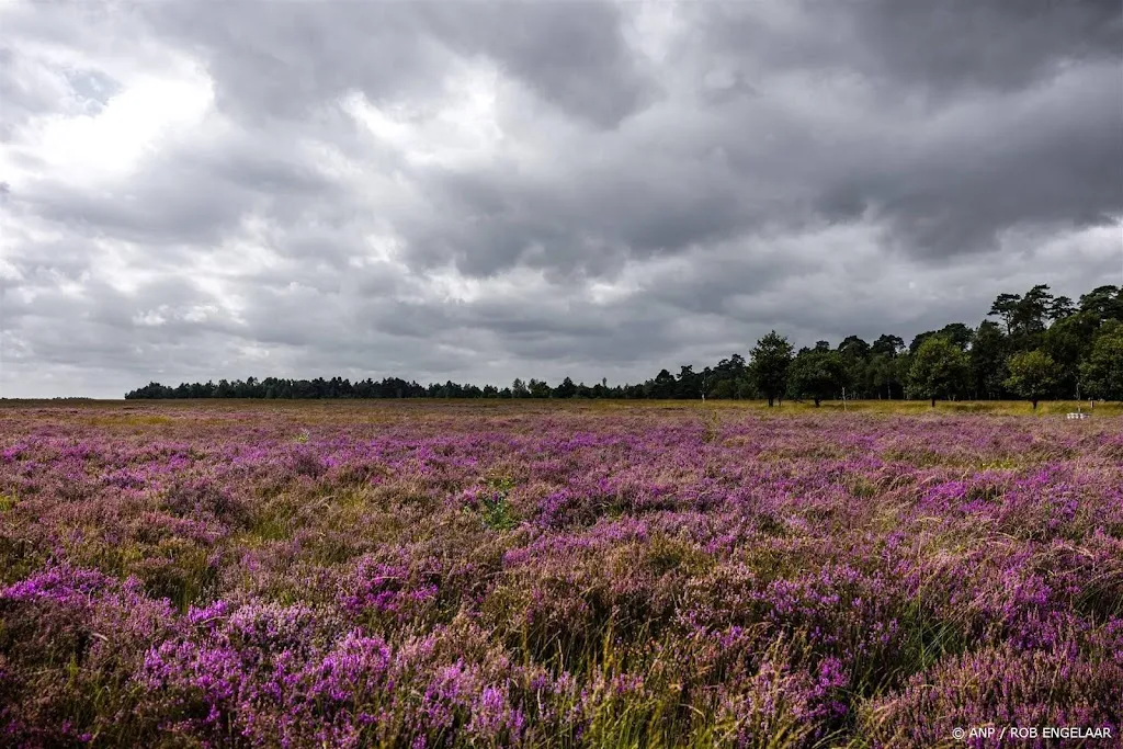 Zorgen wetenschappers om natuurplan biodiversiteit  