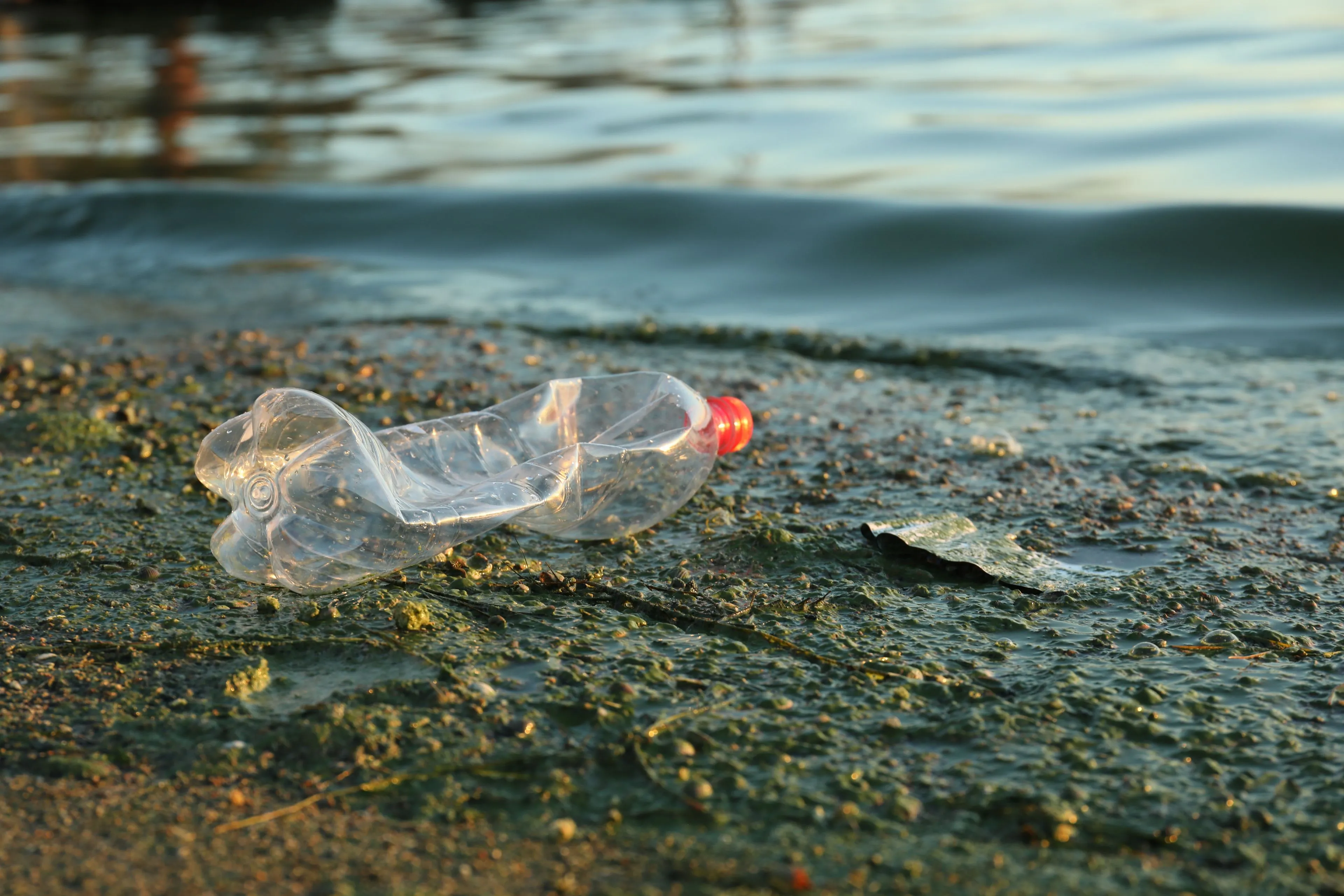 Statiegeld mogelijk omhoog naar €1 per fles