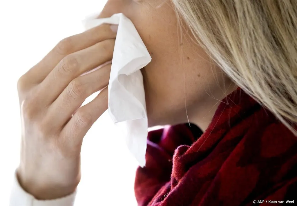 Onderzoekers: door warme winter mogelijk tijdens kerst al last van hooikoorts