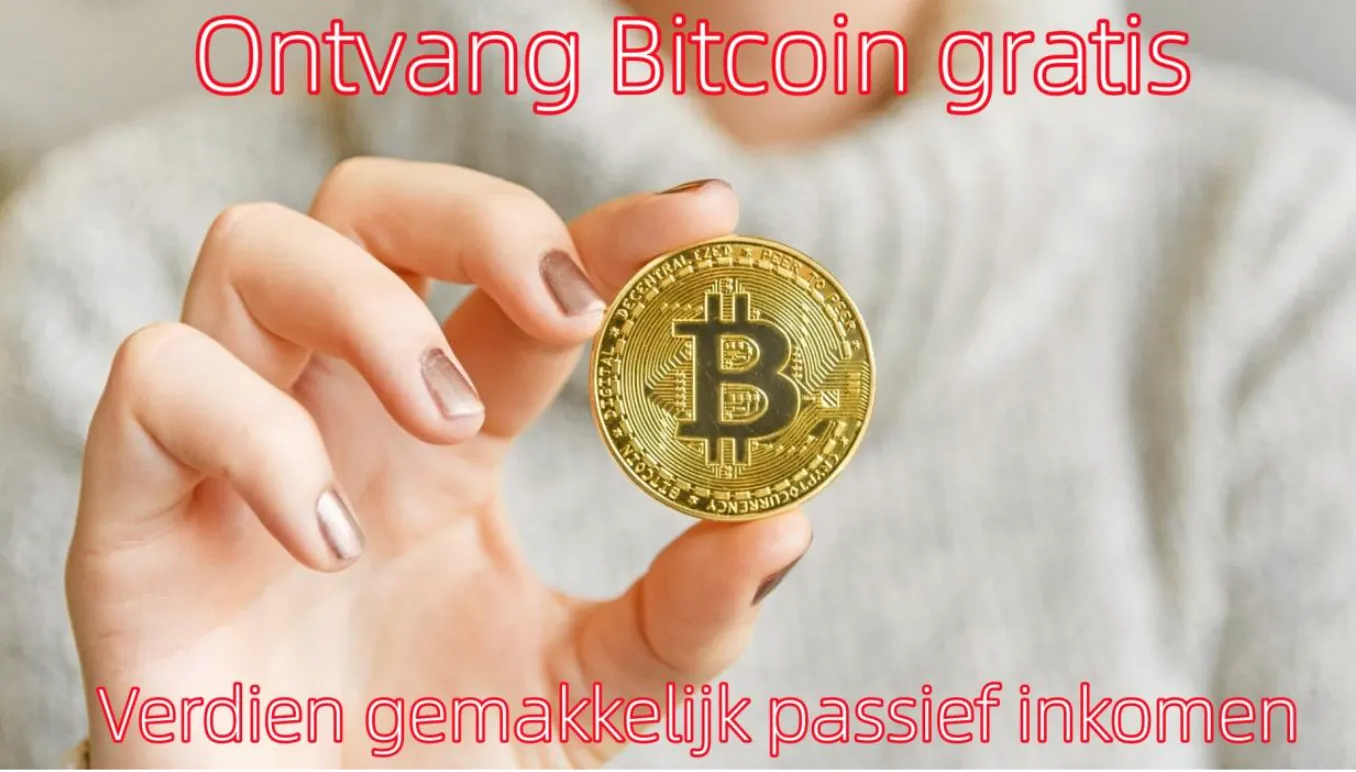 schermafbeelding 2024 12 08 om 133933