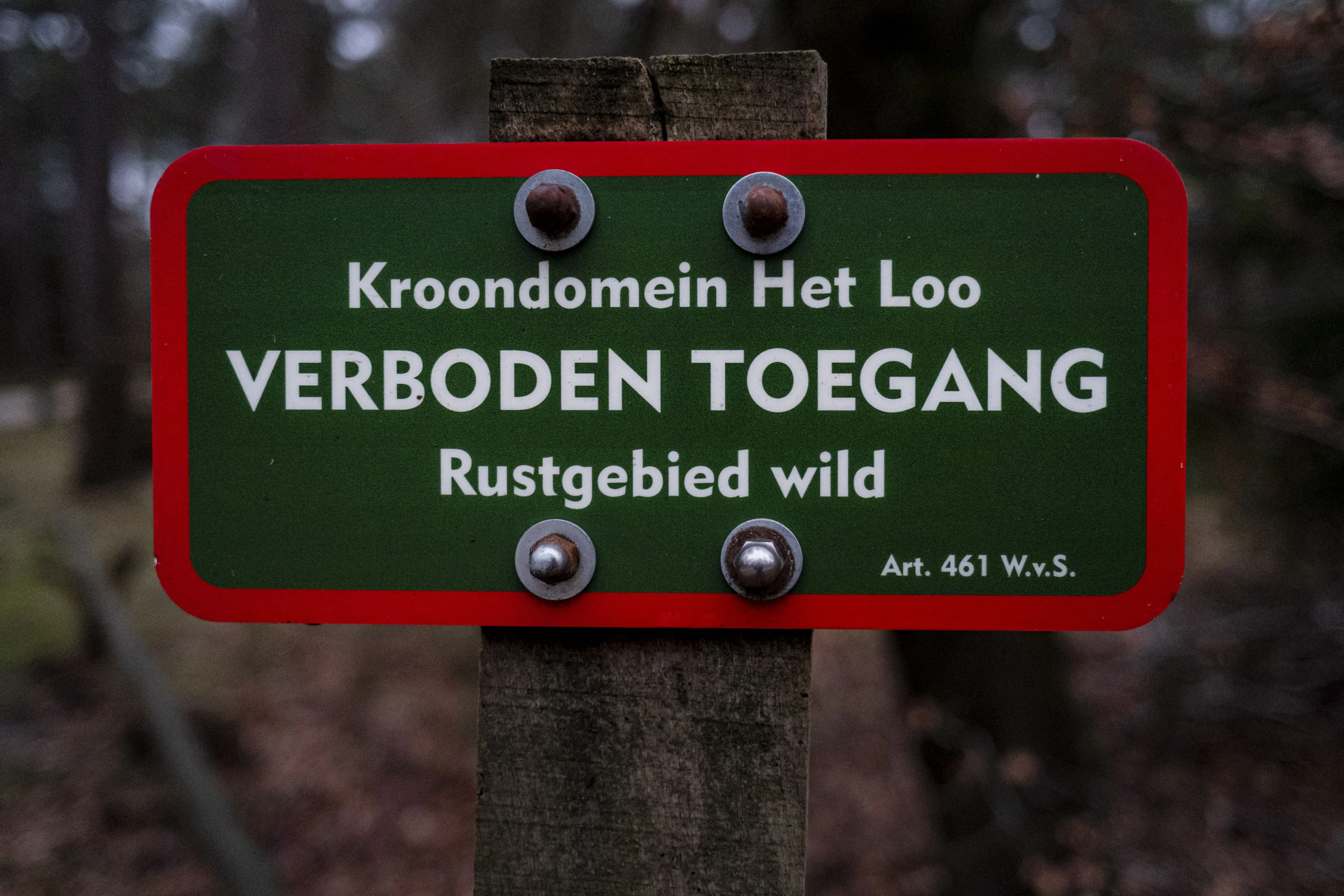 Kamerlid achtervolgt jagende royals op mountainbike: “Koning moet plaats maken voor de wolf”